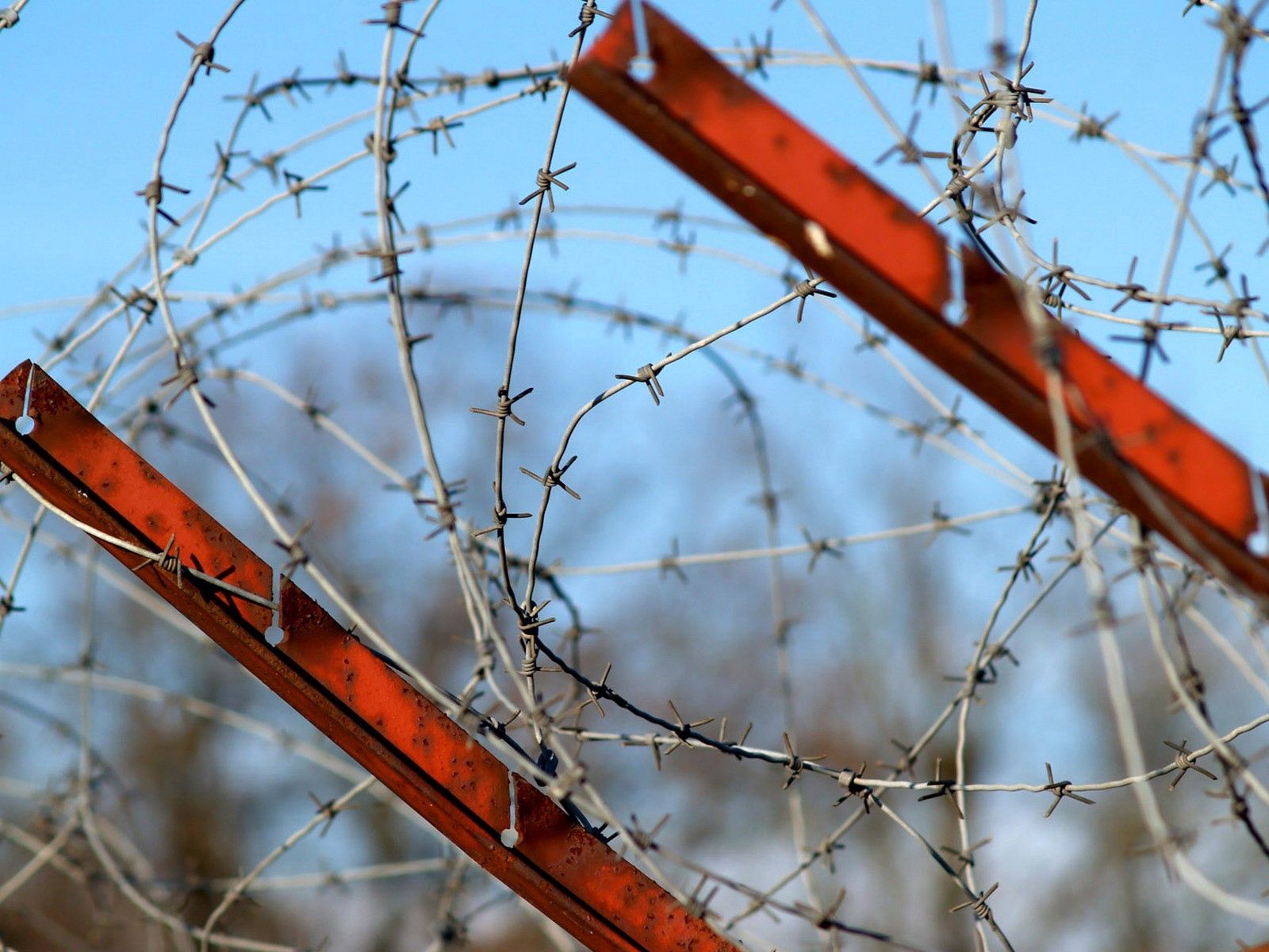 miscellanea, sky, miscellaneous, paint, metal, rust, barbed wire, stretched, tense