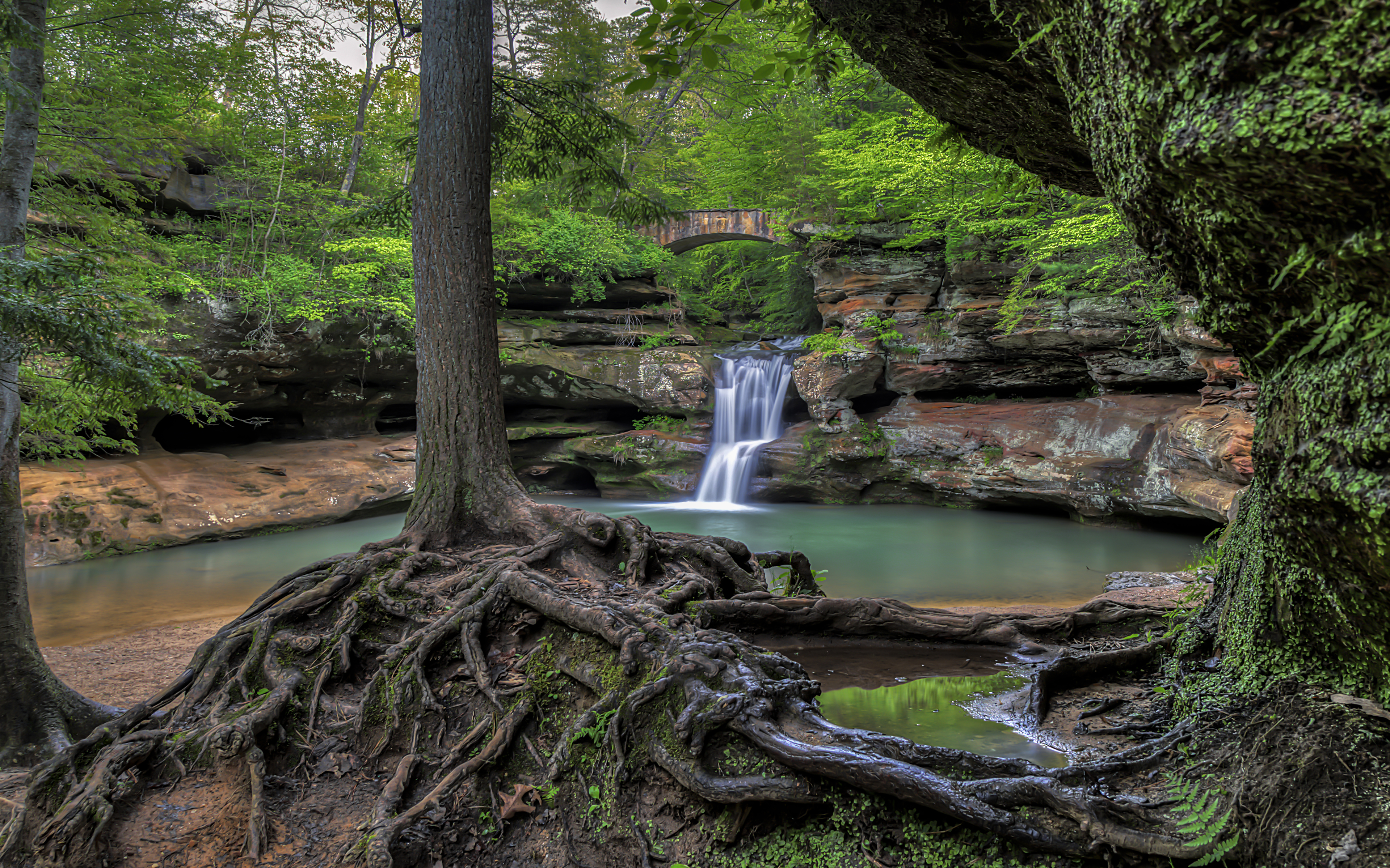 Laden Sie das Natur, Wasserfälle, Holz, Wasserfall, Fluss, Erde/natur-Bild kostenlos auf Ihren PC-Desktop herunter