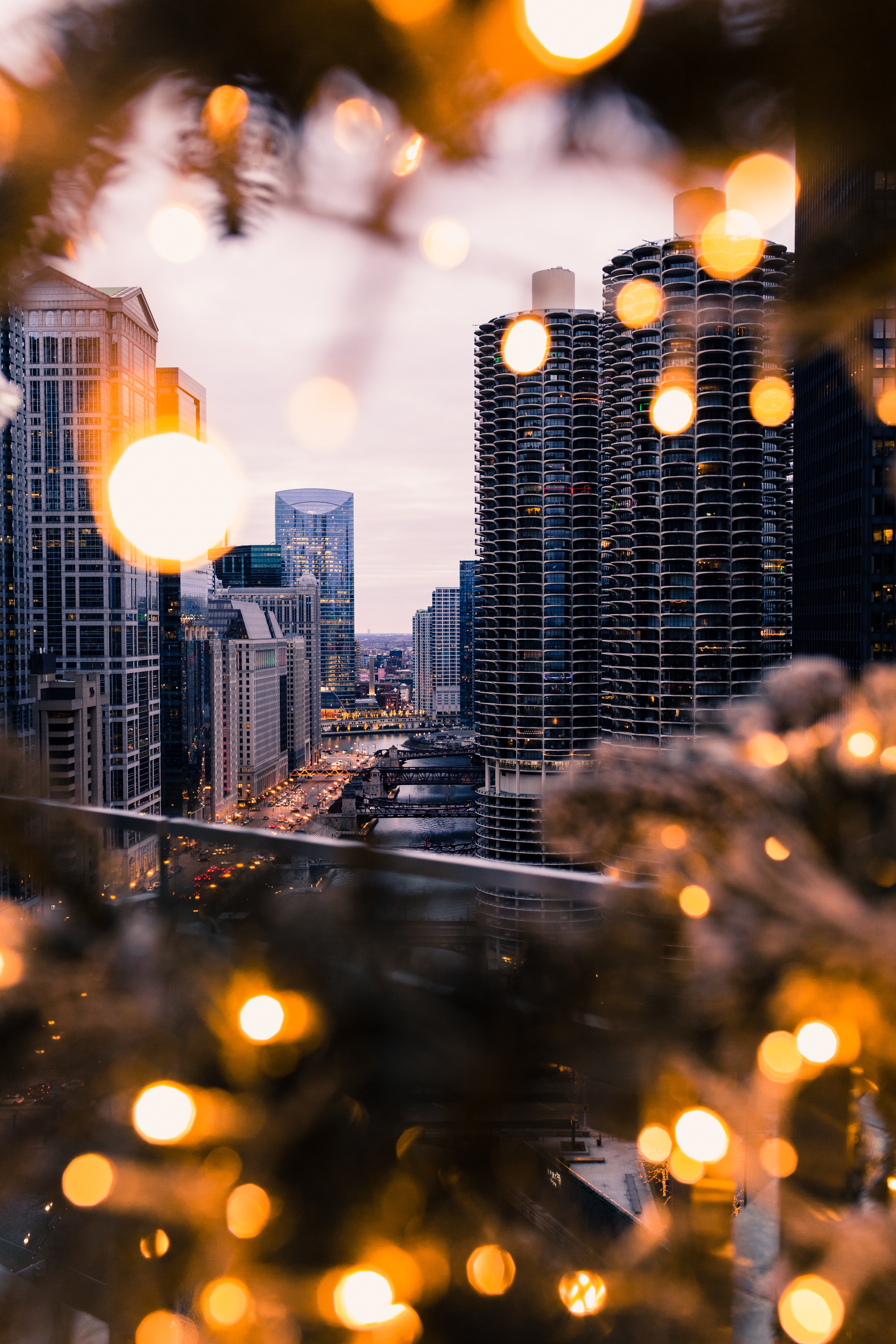 boquet, bokeh, architecture, cities, building, glare for android