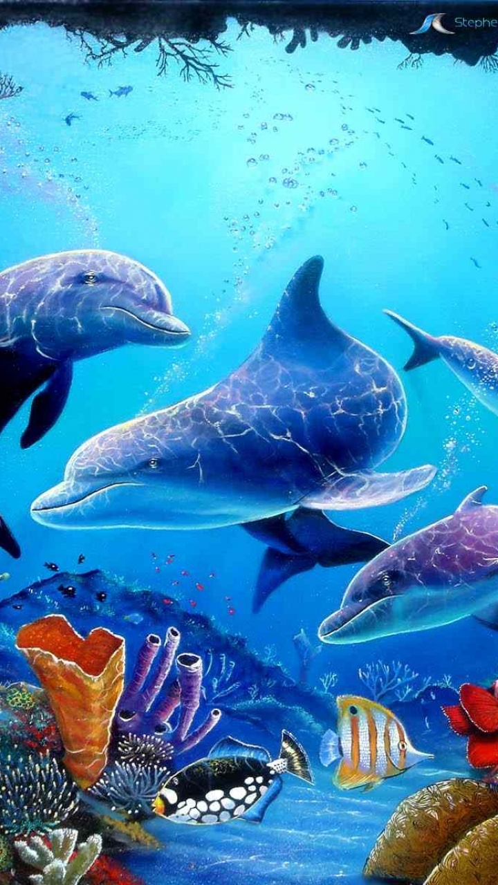 Handy-Wallpaper Tiere, Delfin kostenlos herunterladen.