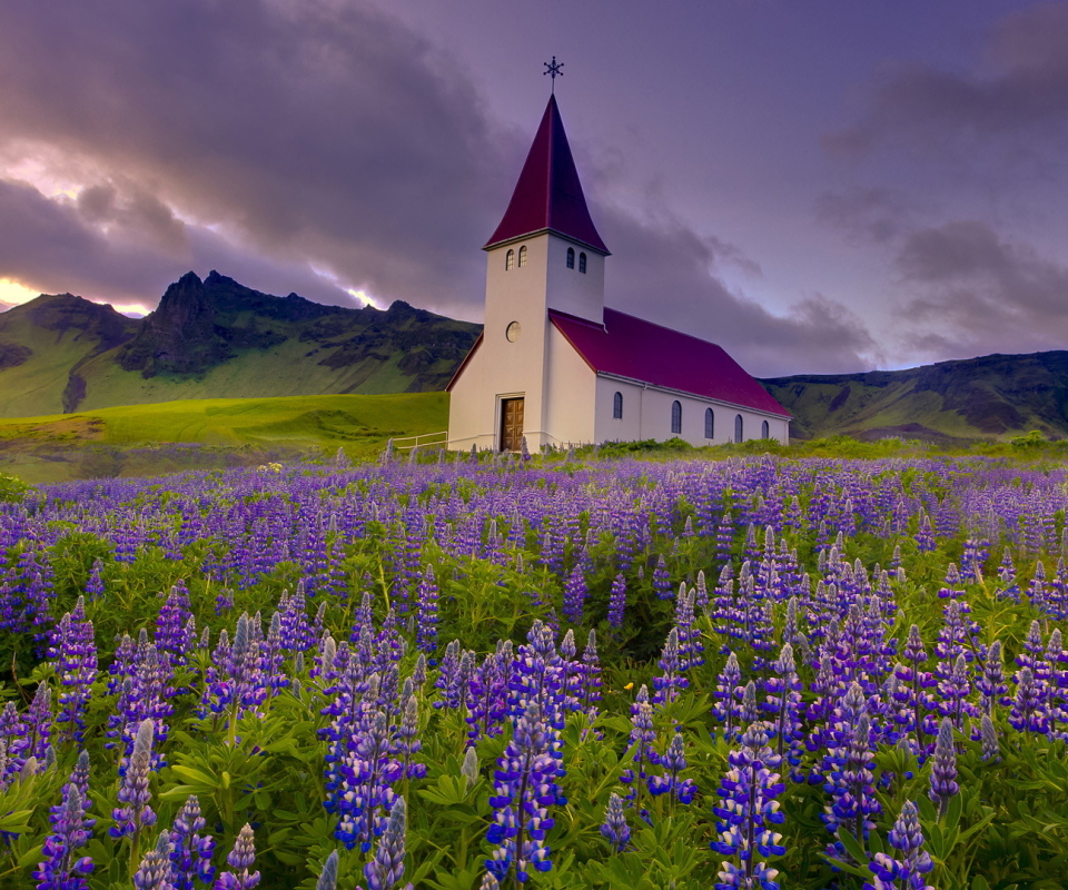 Download mobile wallpaper Flower, Church, Lupine, Churches, Purple Flower, Religious for free.