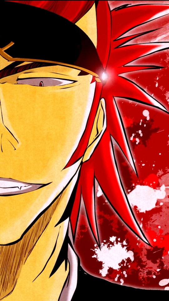 Download mobile wallpaper Anime, Bleach, Renji Abarai, Ichigo Kurosaki for free.