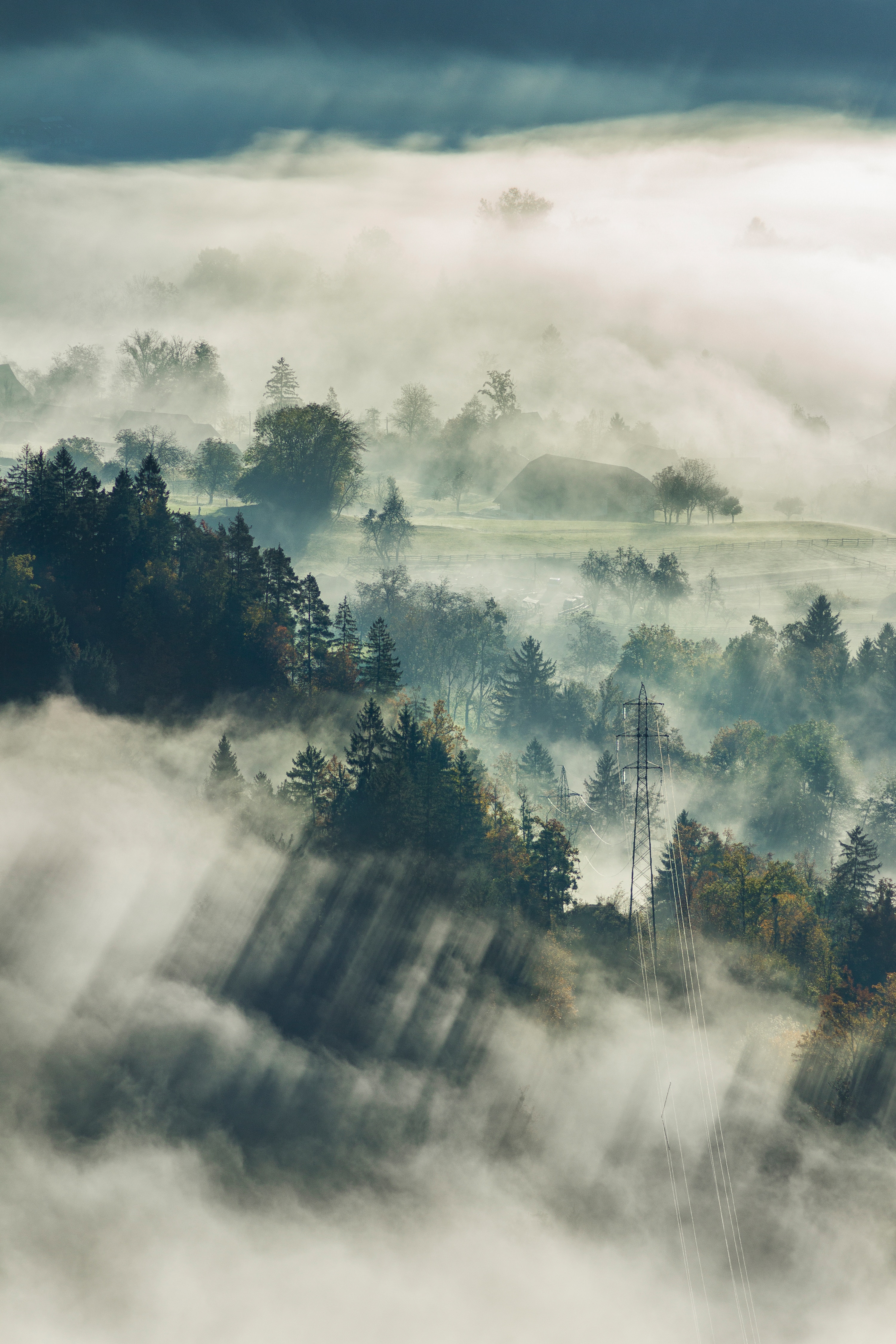 PCデスクトップに自然, 木, 上から見る, スロベニア, ブレッド, 森, 霧, 森林画像を無料でダウンロード