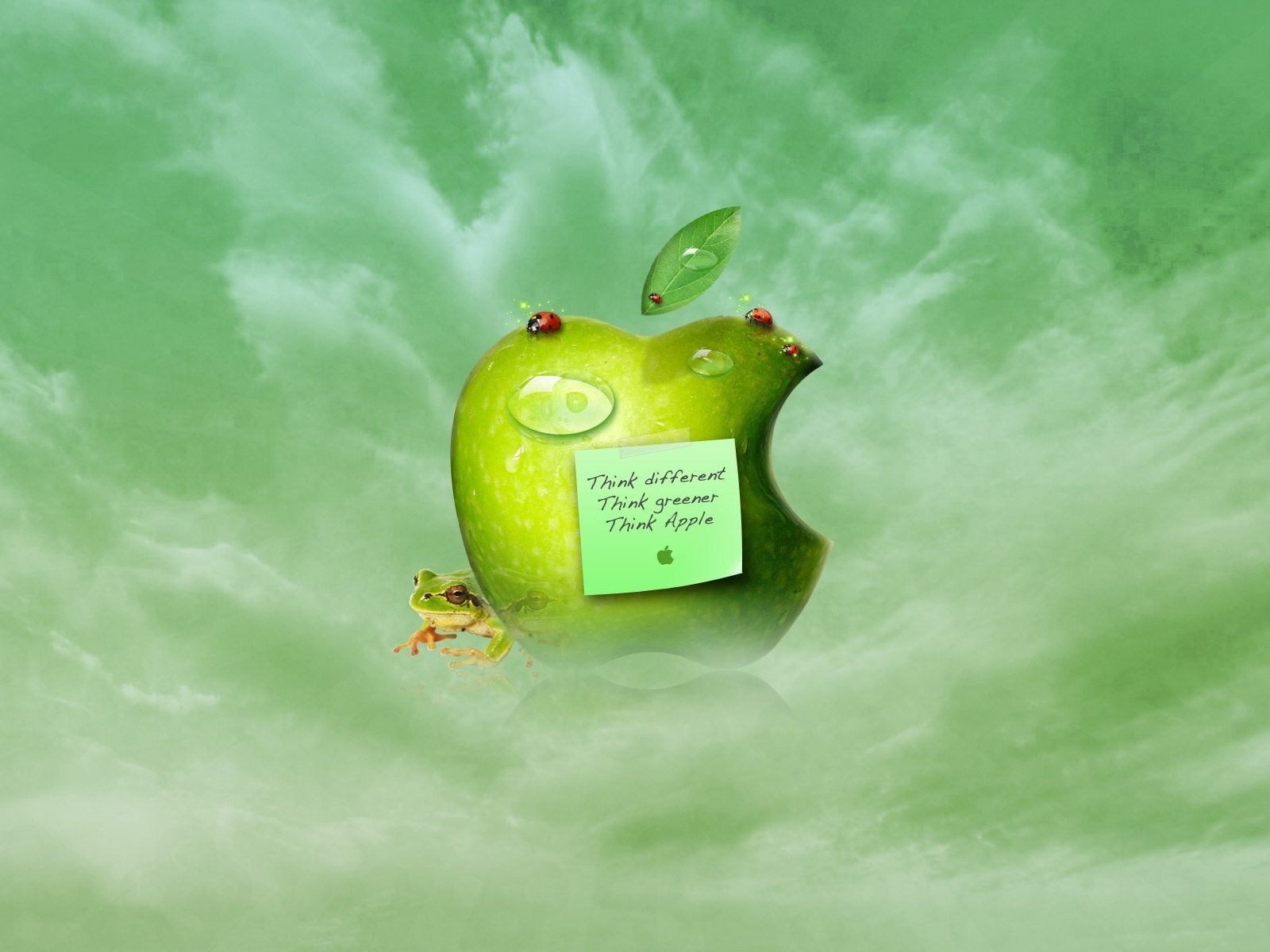 apples, logos, brands, apple, green