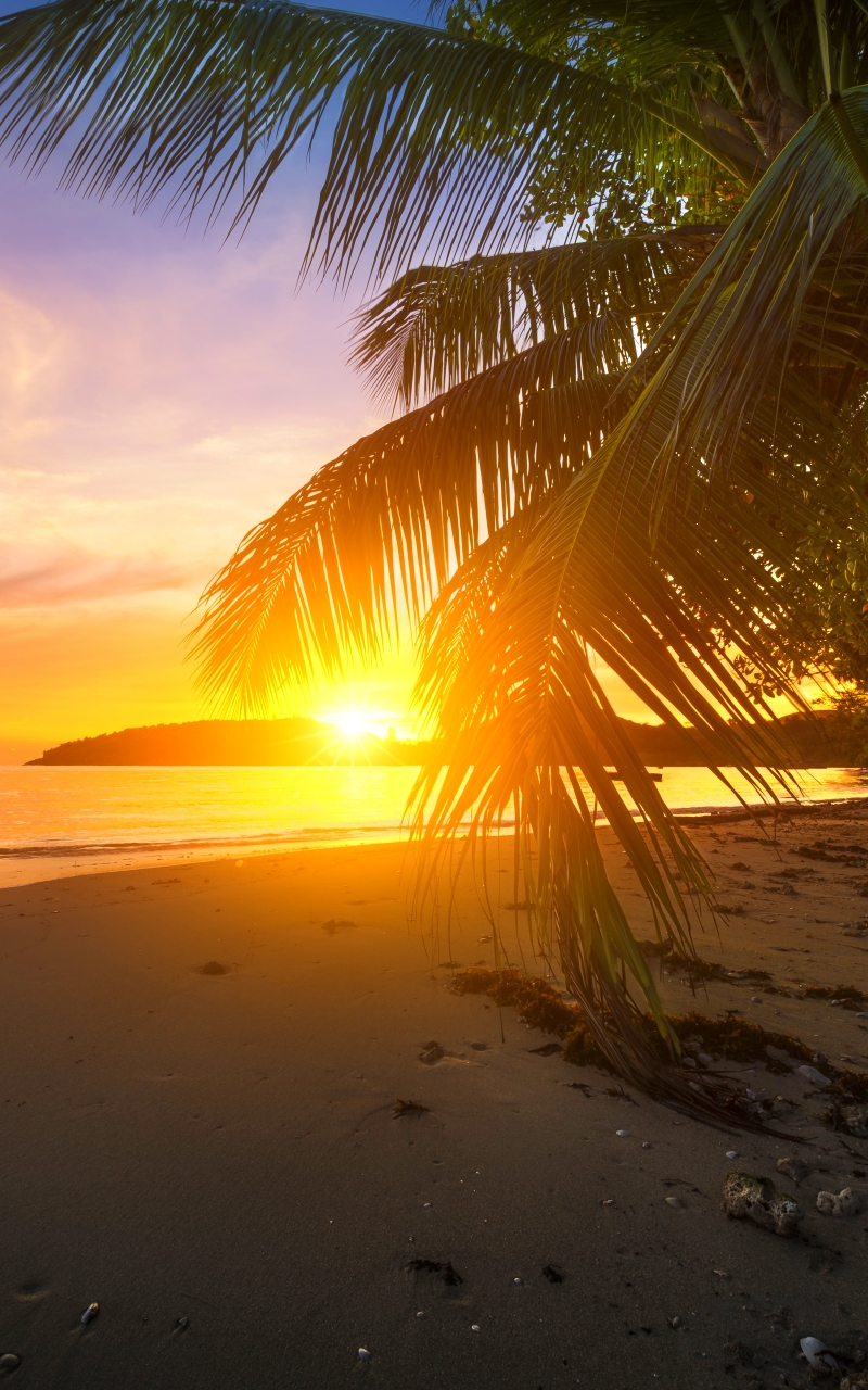Download mobile wallpaper Nature, Beach, Sand, Ocean, Sunrise, Earth for free.