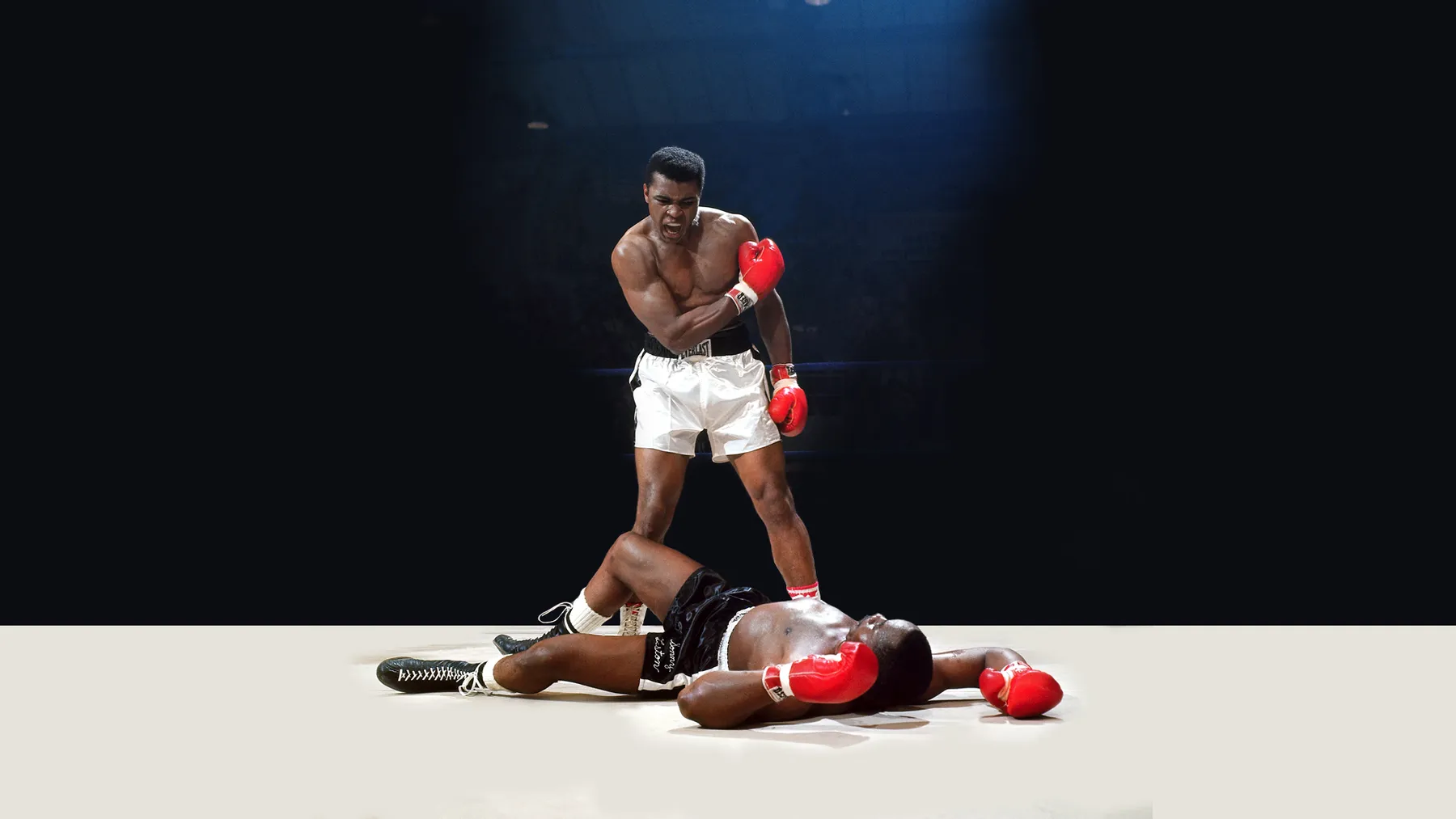 Free Boxing 4K Wallpapers & Desktop HD Backgrounds for PC