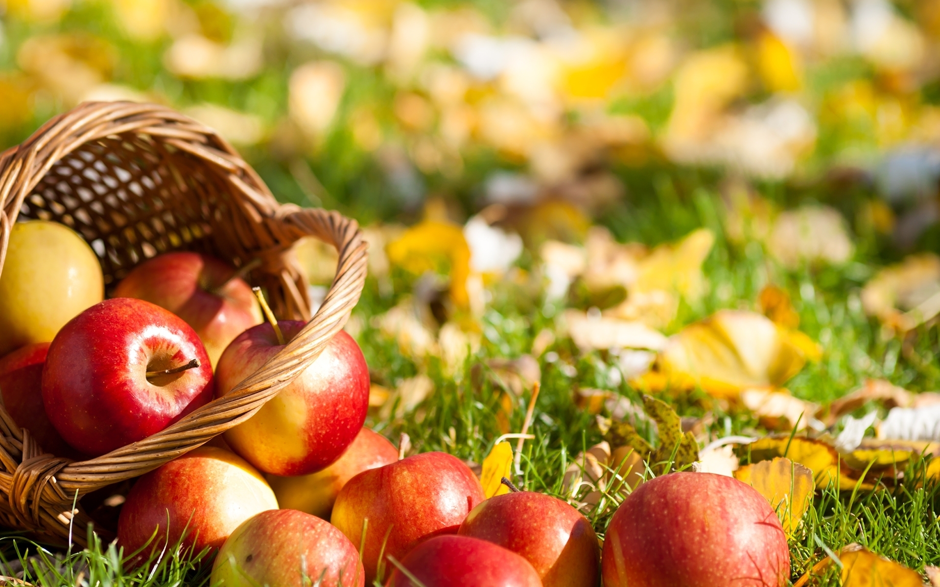 Download mobile wallpaper Fruits, Food, Season, Apple, Leaf, Fall, Nature for free.