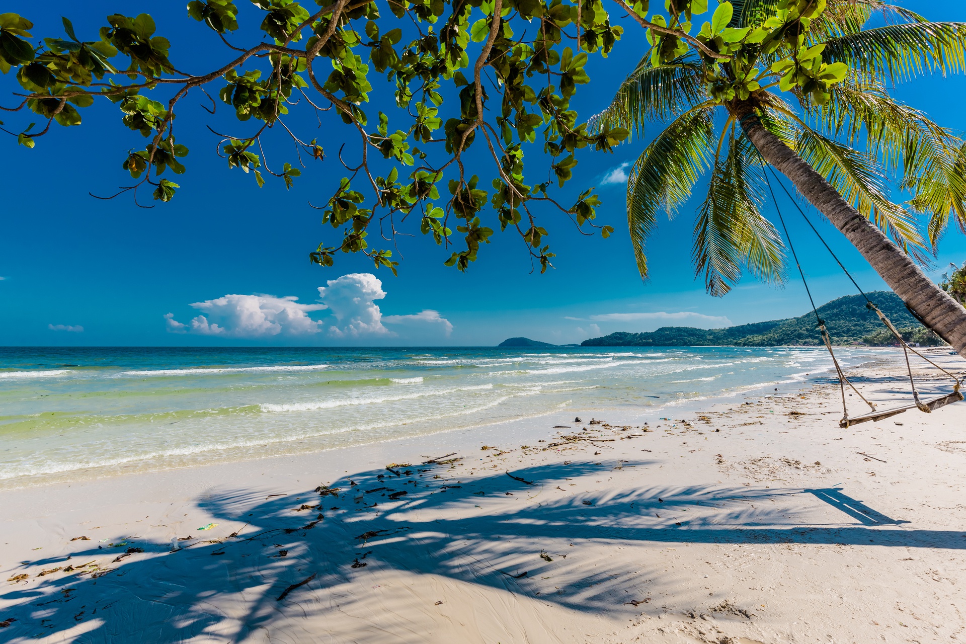 Download mobile wallpaper Beach, Sand, Horizon, Ocean, Swing, Coastline, Photography, Palm Tree for free.