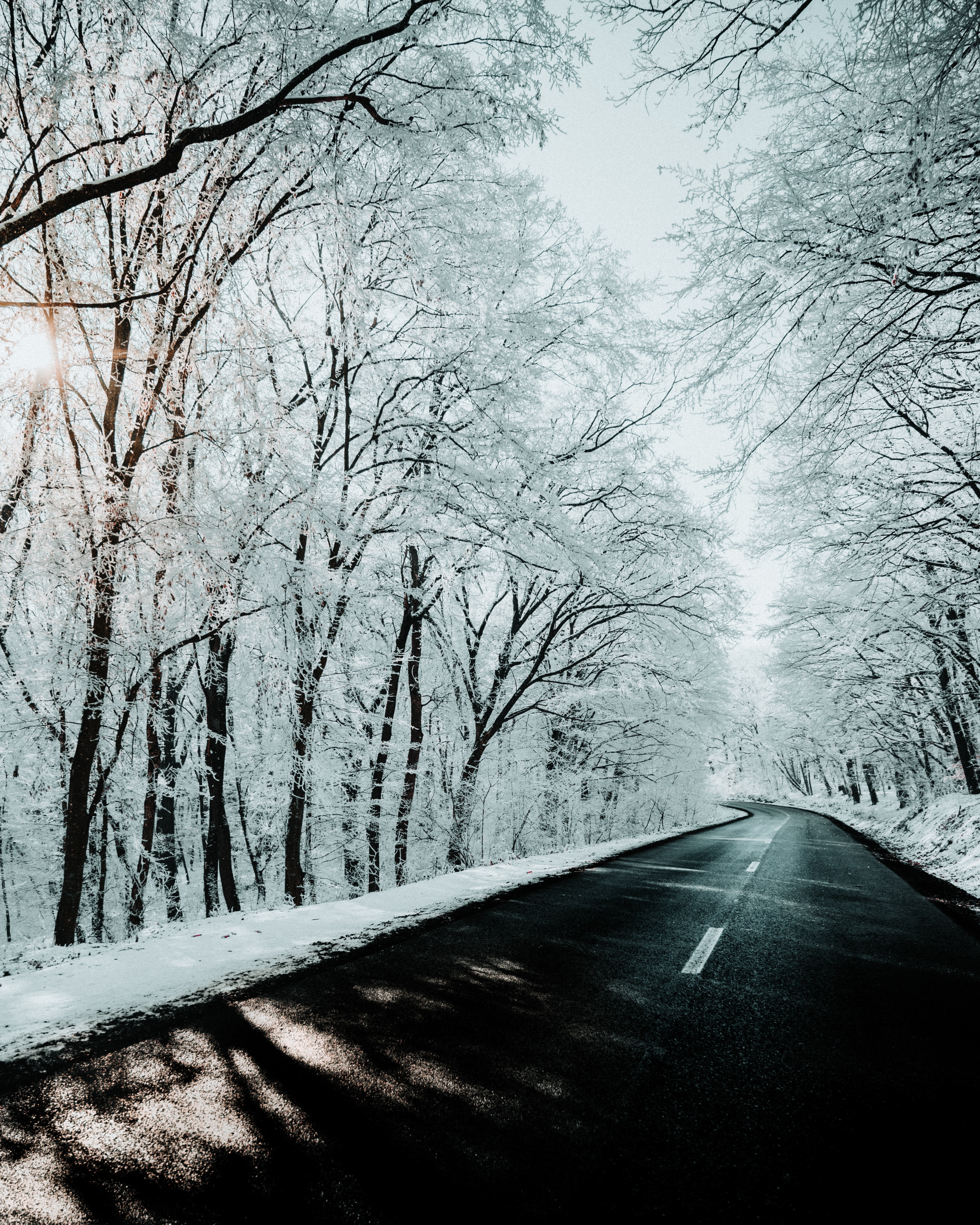Descarga gratuita de fondo de pantalla para móvil de Naturaleza, Nieve, Camino, Invierno, Árboles.