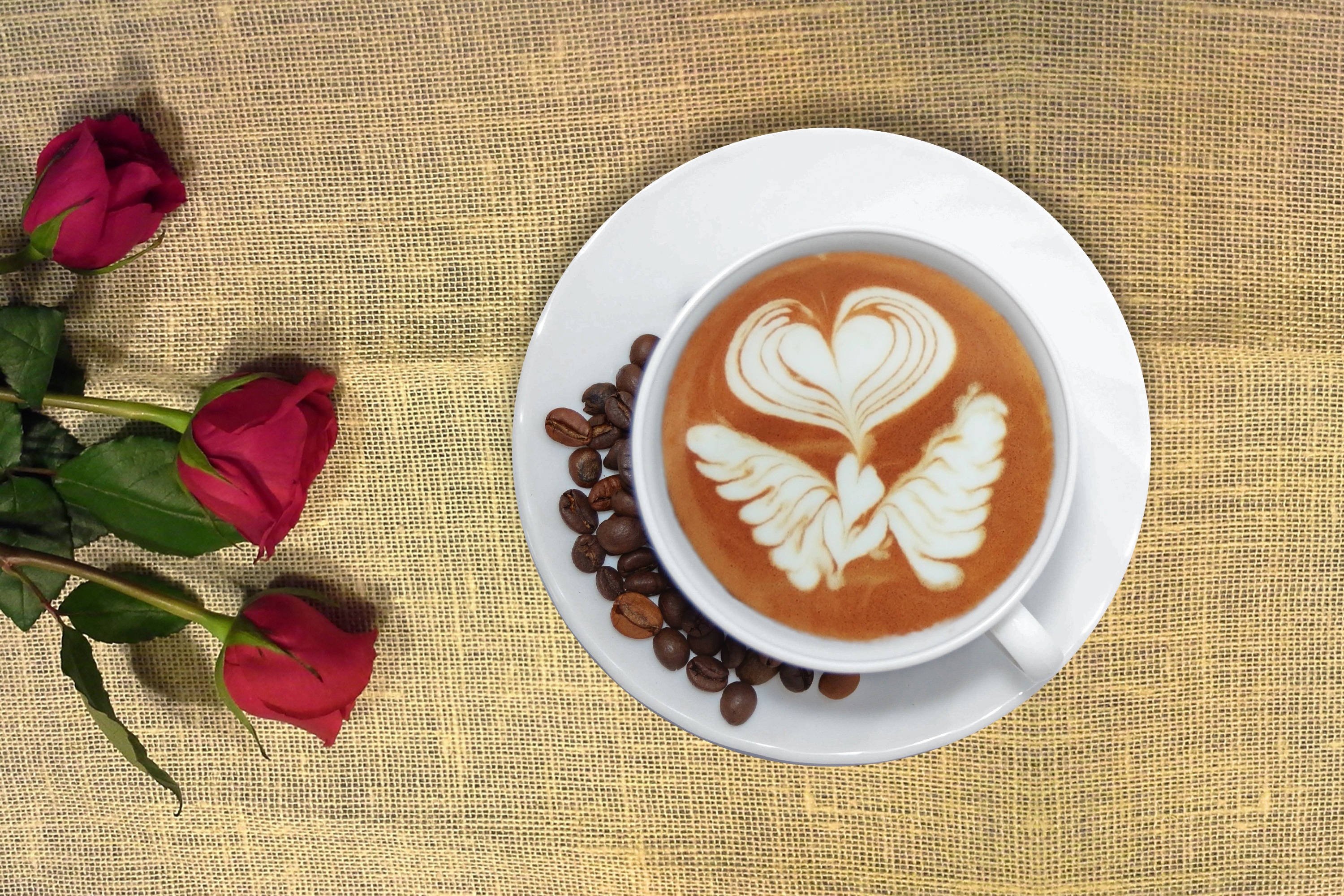 Download mobile wallpaper Food, Coffee, Cup, Coffee Beans, Red Rose for free.