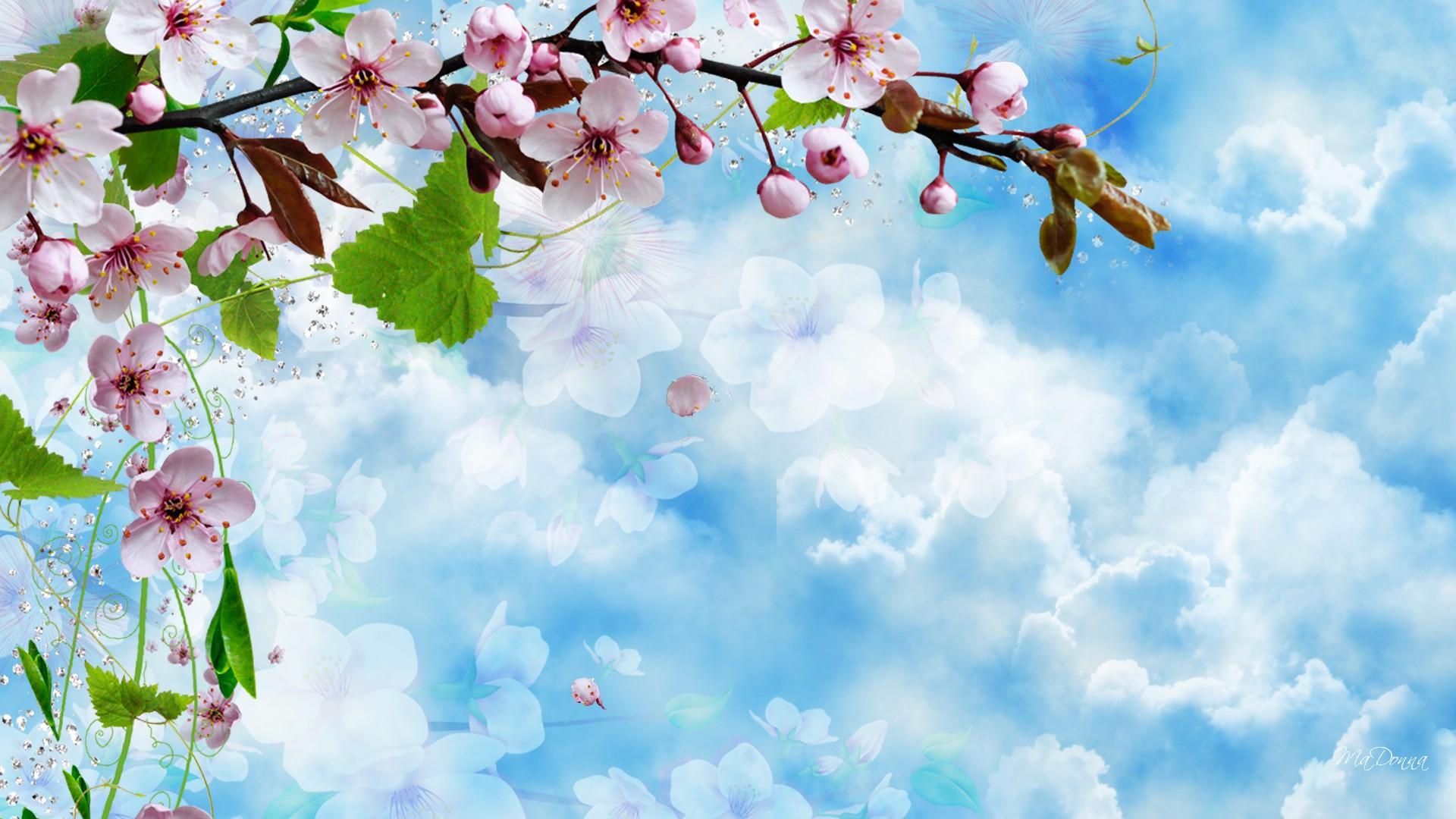 743667 завантажити шпалери весна, художній, цвітіння, синій, відділення, вишневий цвіт, рожева квітка, небо - заставки і картинки безкоштовно