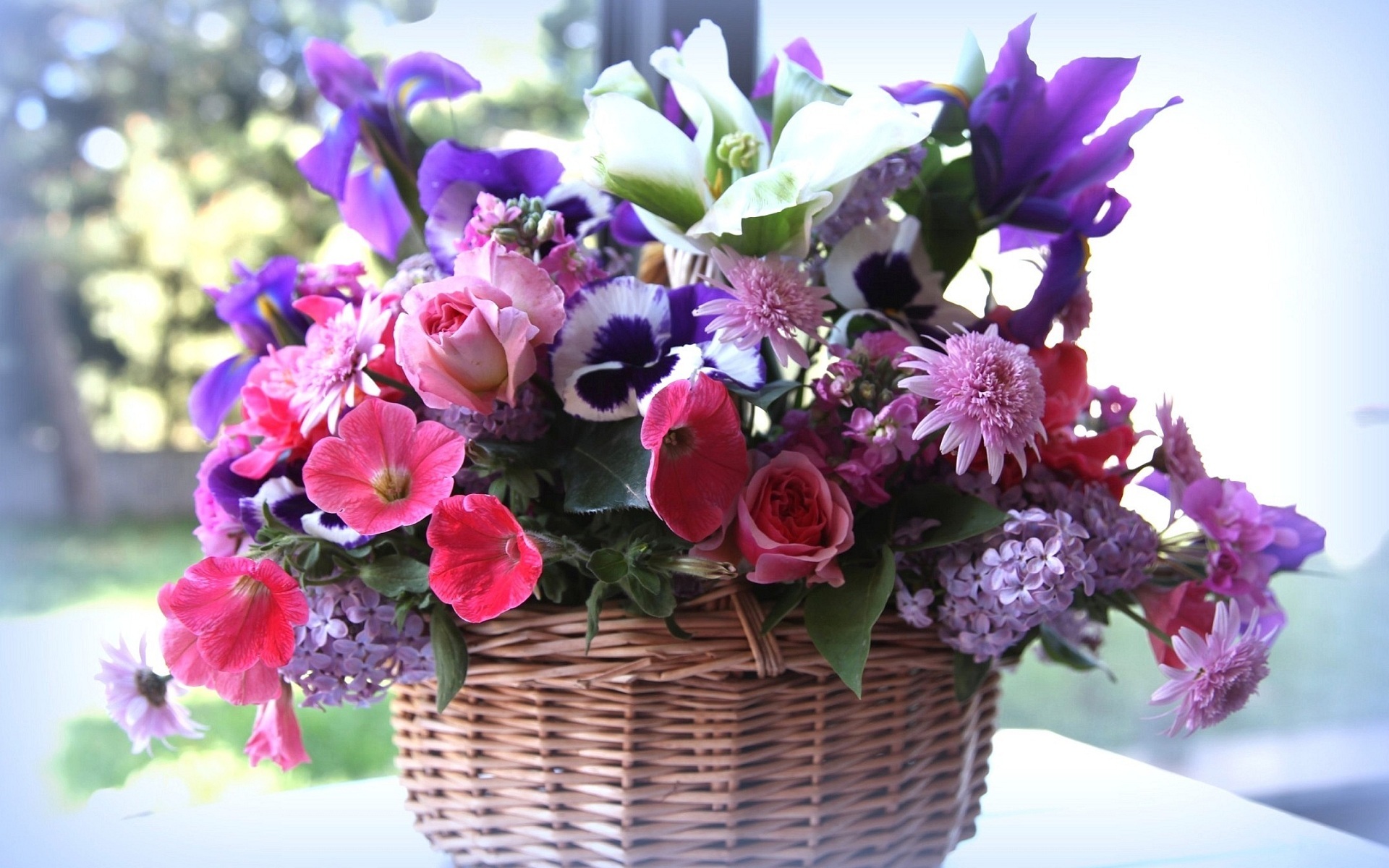 Descarga gratuita de fondo de pantalla para móvil de Bouquets, Plantas, Flores.