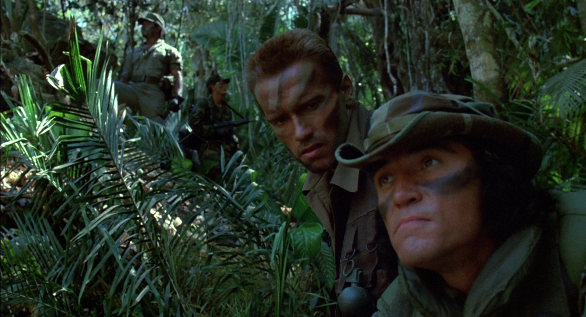 Laden Sie das Arnold Schwarzenegger, Filme, Predator Upgrade-Bild kostenlos auf Ihren PC-Desktop herunter