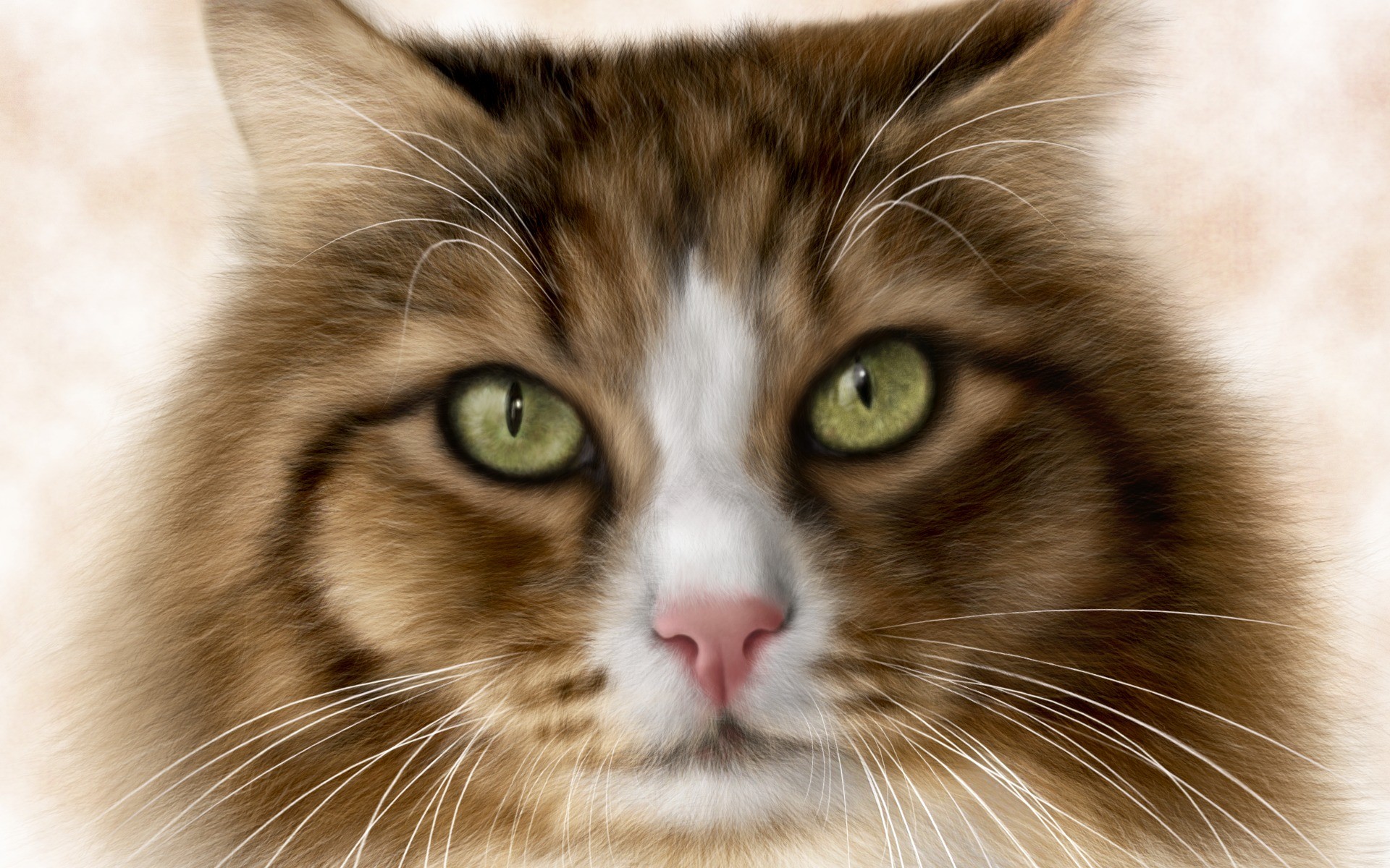 Free download wallpaper Cats, Cat, Close Up, Animal, Face, Green Eyes on your PC desktop