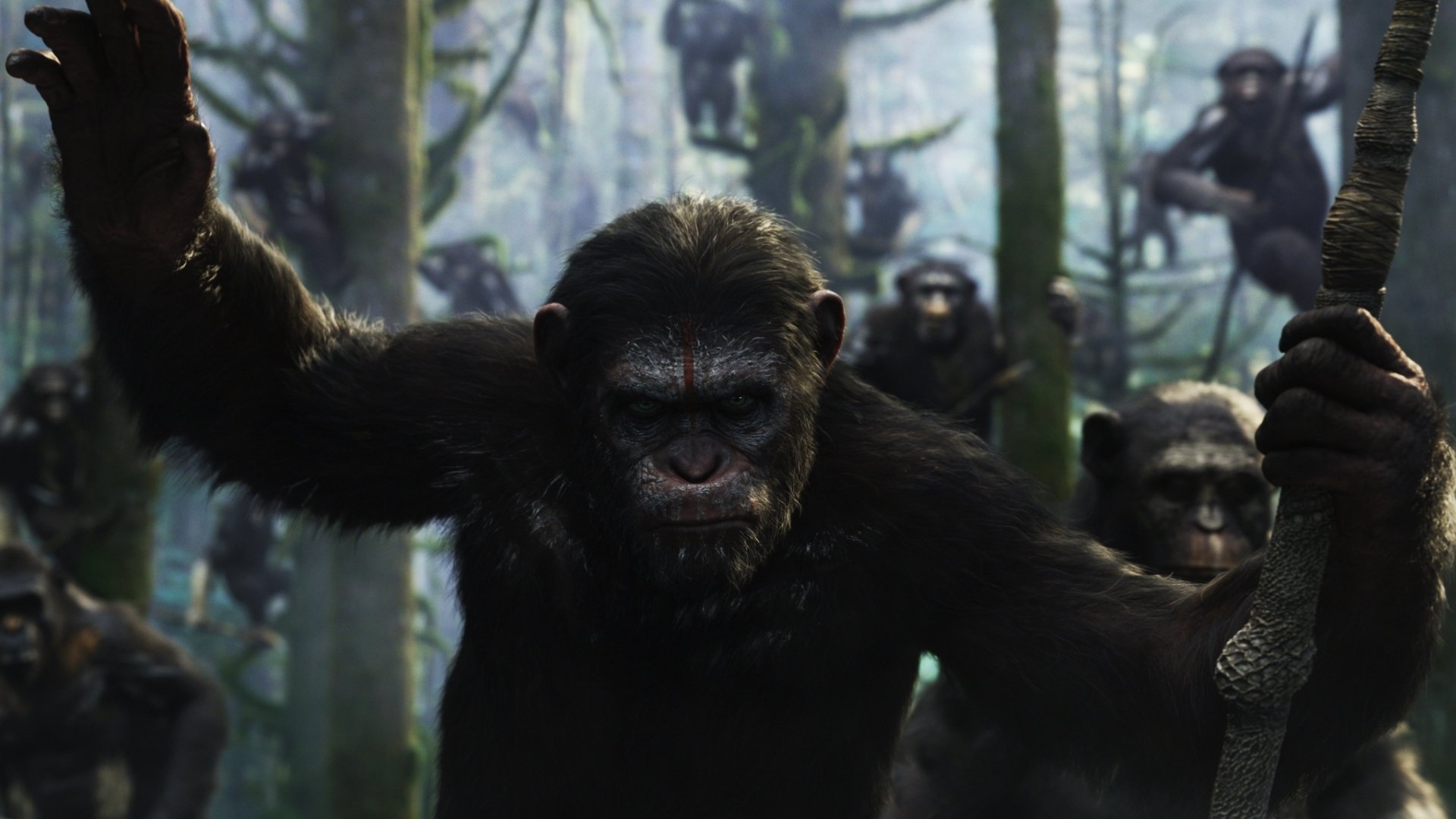 1501649 télécharger l'image la planète des singes : l'affrontement, film - fonds d'écran et économiseurs d'écran gratuits