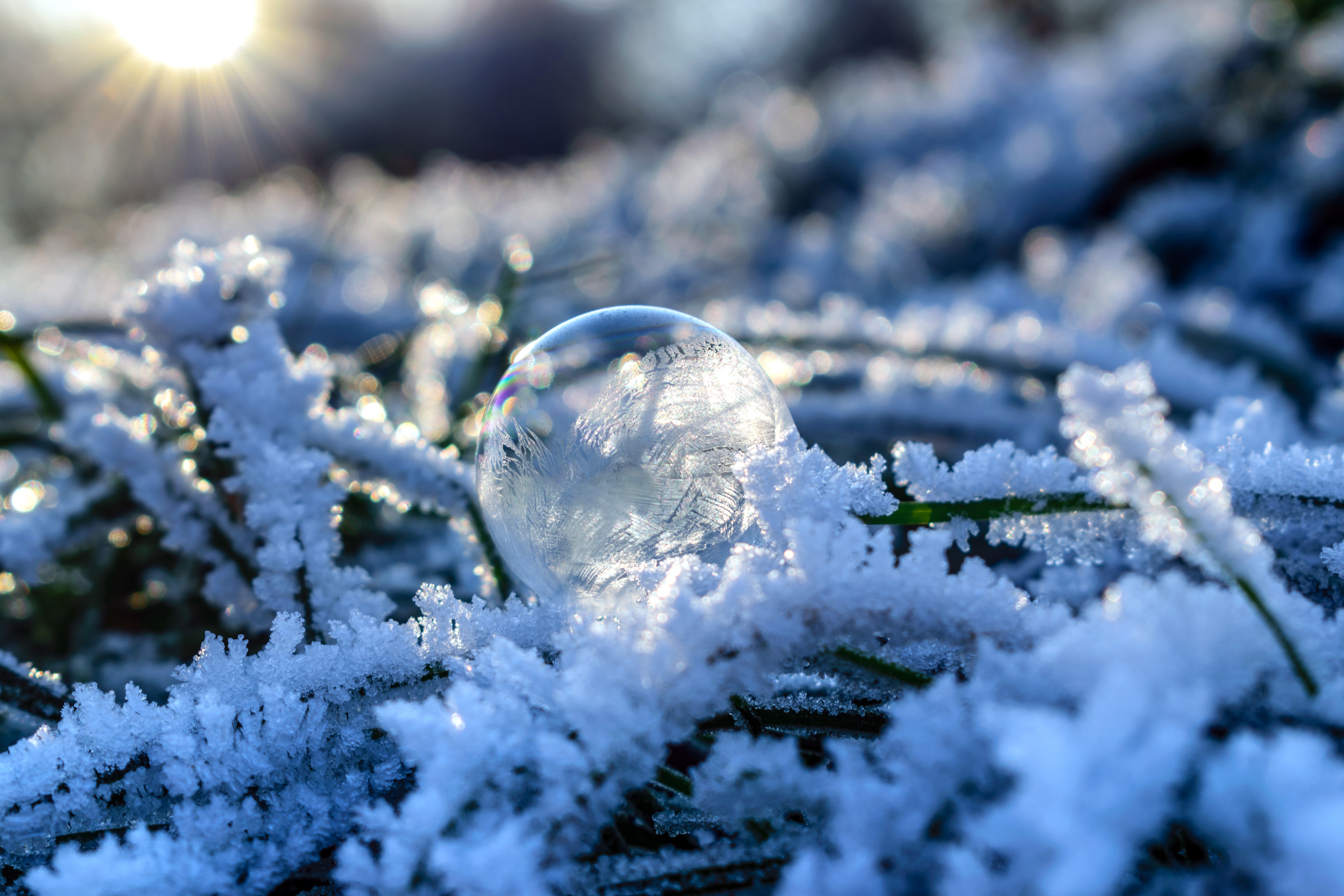 Download mobile wallpaper Frost, Hoarfrost, Snow, Macro, Bubble, Ball for free.