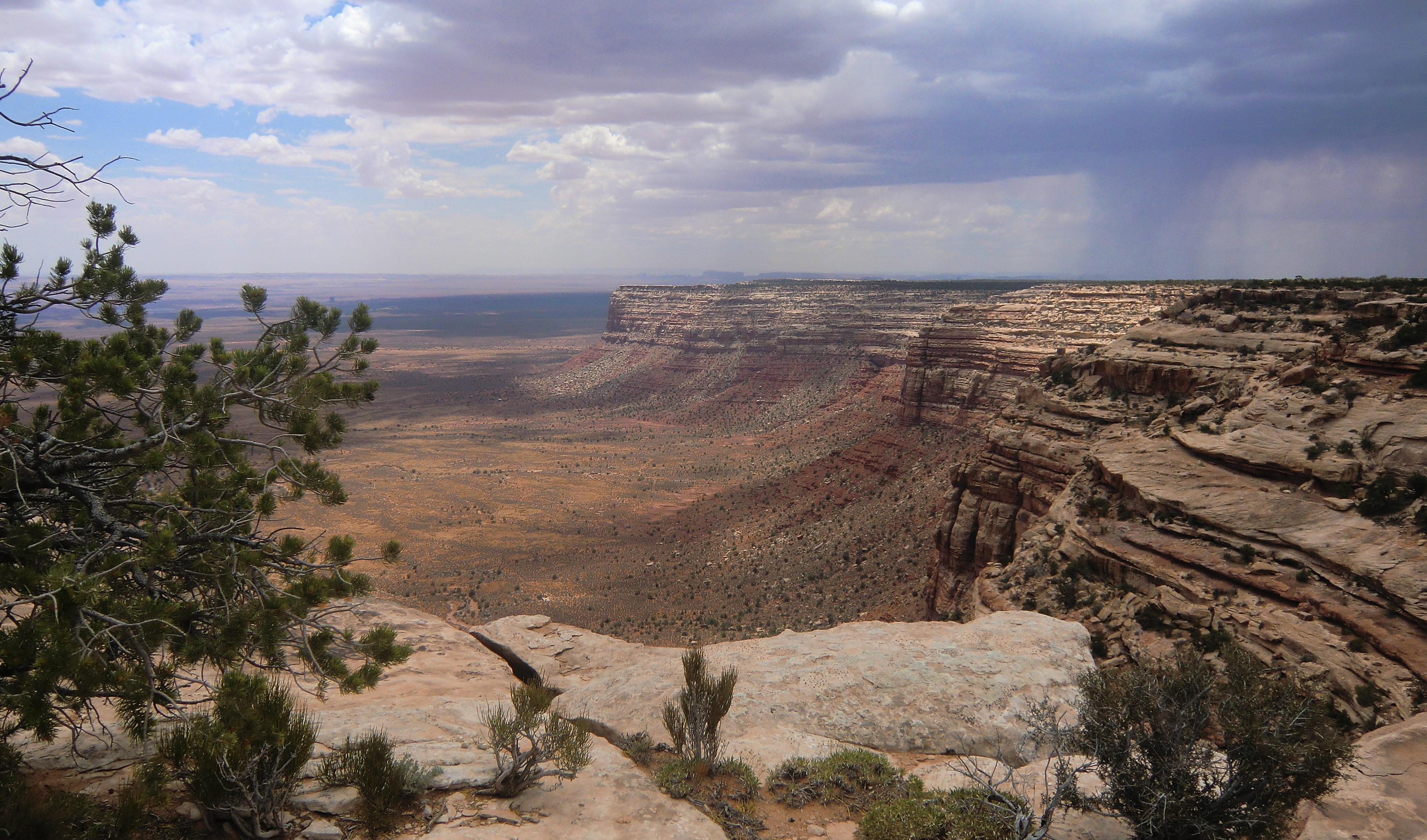 Download mobile wallpaper Landscape, Rain, Desert, Usa, Earth for free.