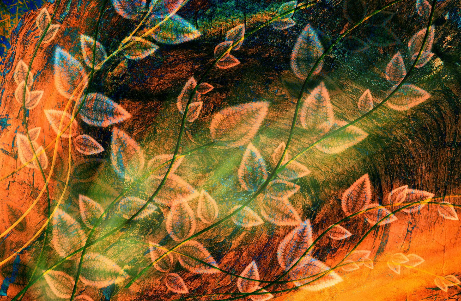 surface, leaves, abstract, multicolored, motley, plant download HD wallpaper