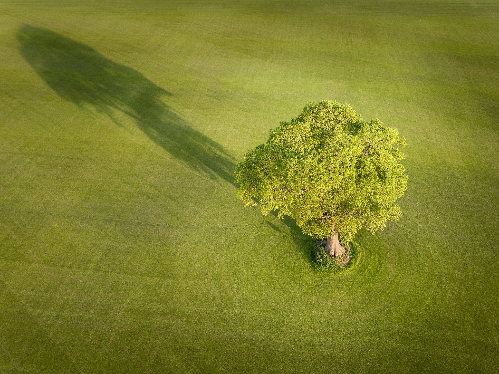 Free download wallpaper Nature, Trees, Tree, Earth, Field, Aerial on your PC desktop