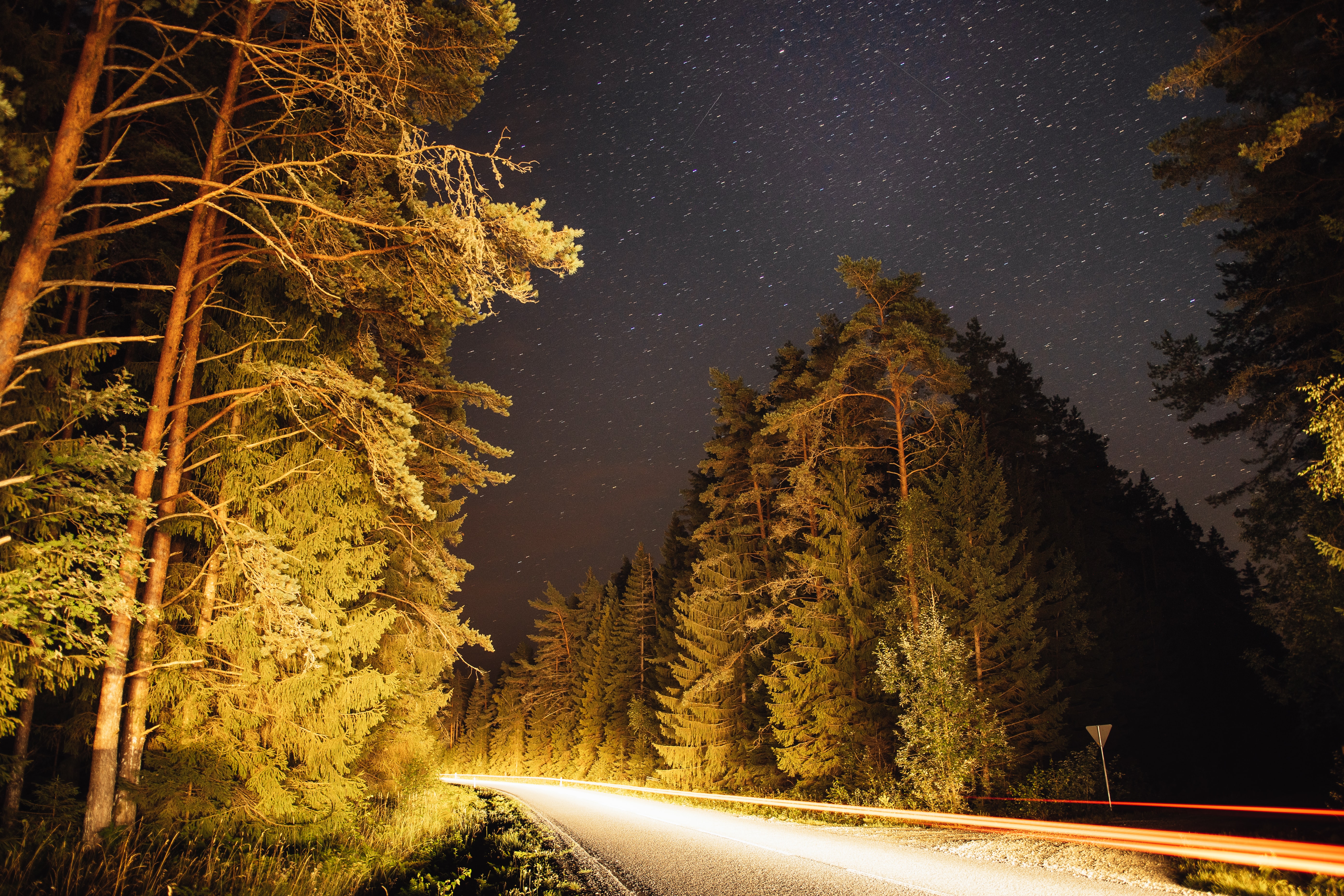 Free download wallpaper Nature, Stars, Road, Forest, Trees, Night on your PC desktop