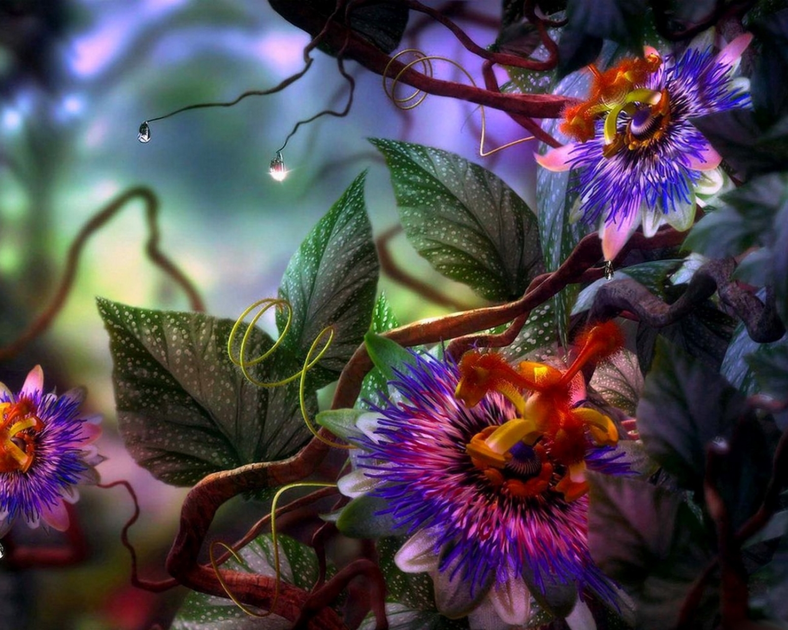 Free download wallpaper Flowers, Flower, Artistic on your PC desktop