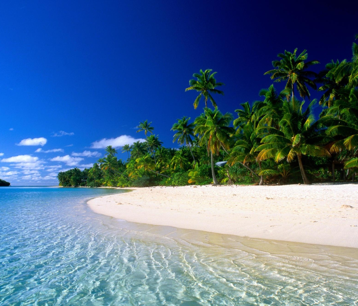 PCデスクトップに水, 木, ビーチ, 地球, 熱帯, 小島, 空, 砂画像を無料でダウンロード