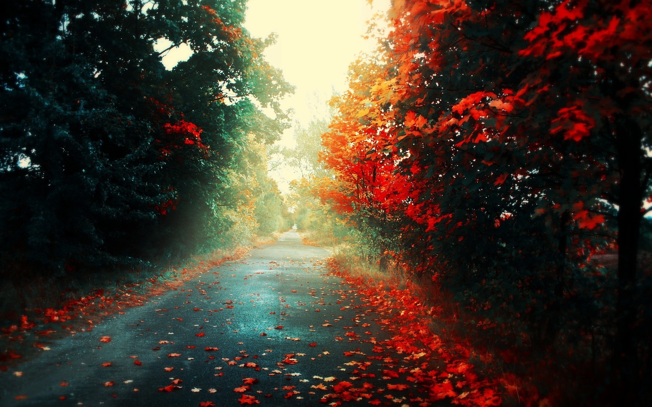 Free download wallpaper Landscape, Roads, Autumn on your PC desktop