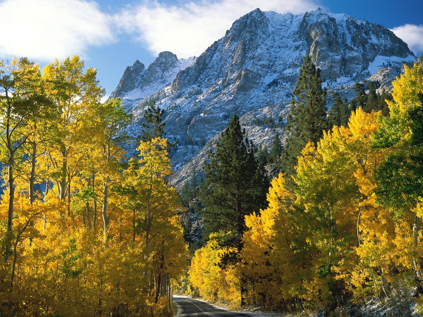 Handy-Wallpaper Natur, Bäume, Mountains, Blick Von Oben, Herbst kostenlos herunterladen.