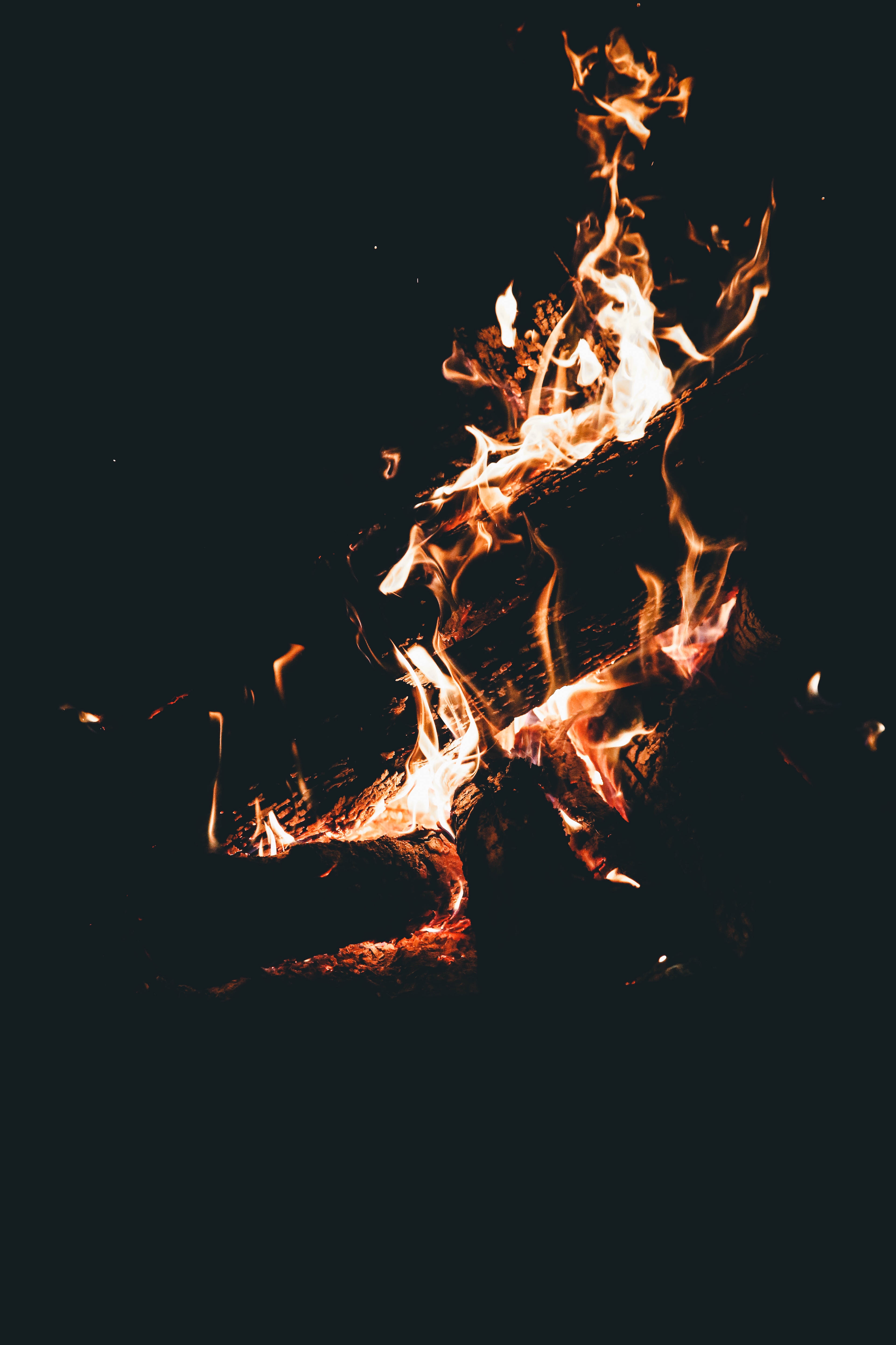 combustion, flame, bonfire, dark, fire, firewood, camping, campsite