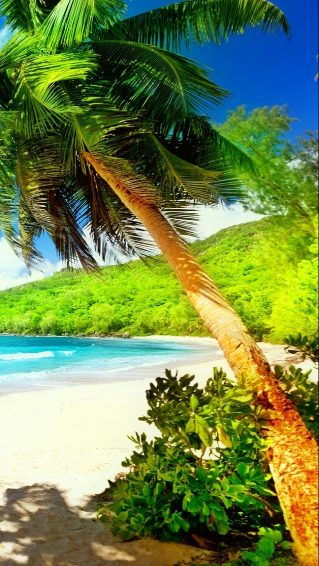 Download mobile wallpaper Beach, Earth for free.