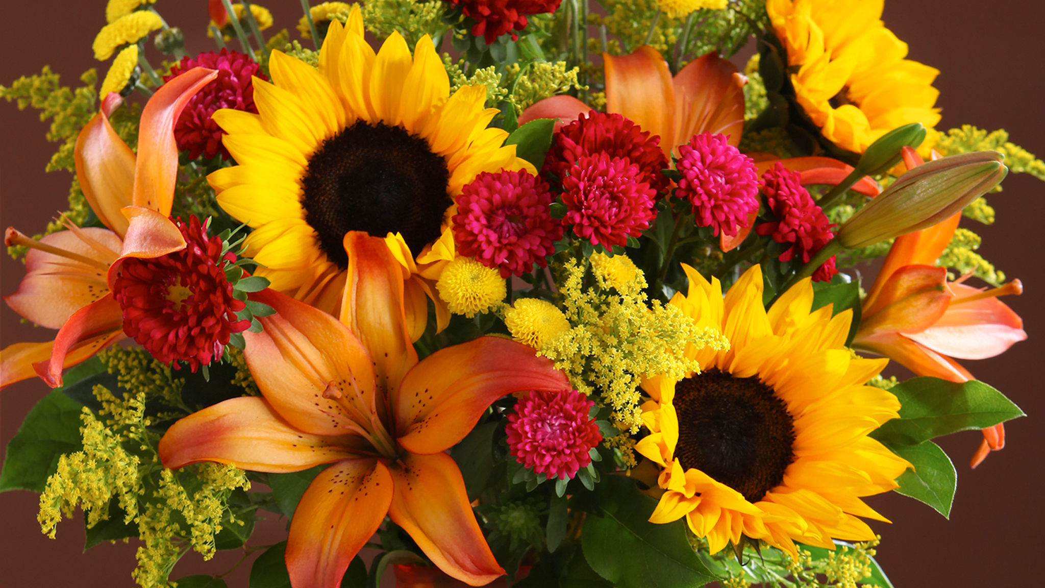 Descarga gratis la imagen Flores, Flor, Colores, Vistoso, Lirio, Girasol, Flor Amarilla, Tierra/naturaleza en el escritorio de tu PC