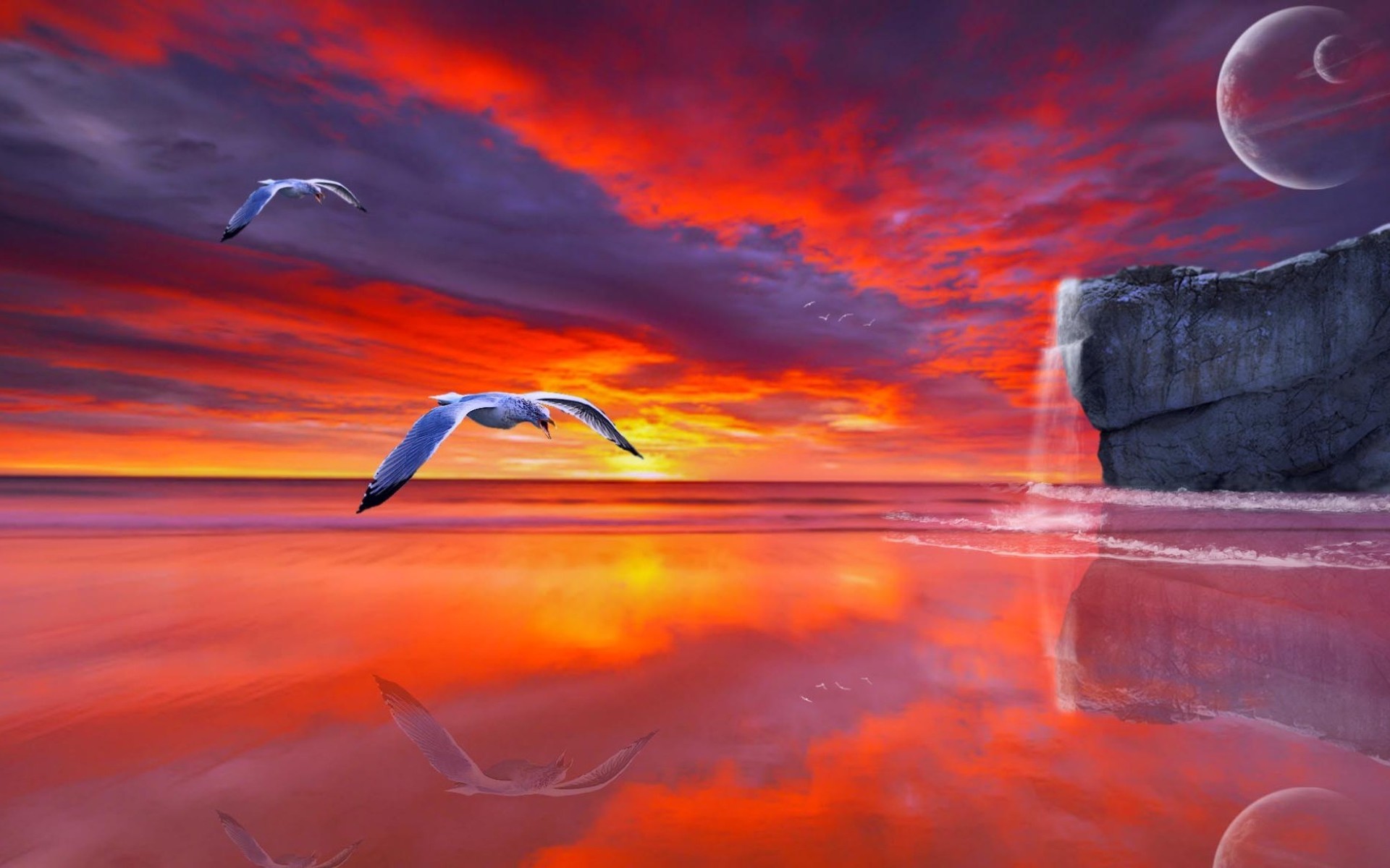reflection, photography, manipulation, flight, seagull, sunset
