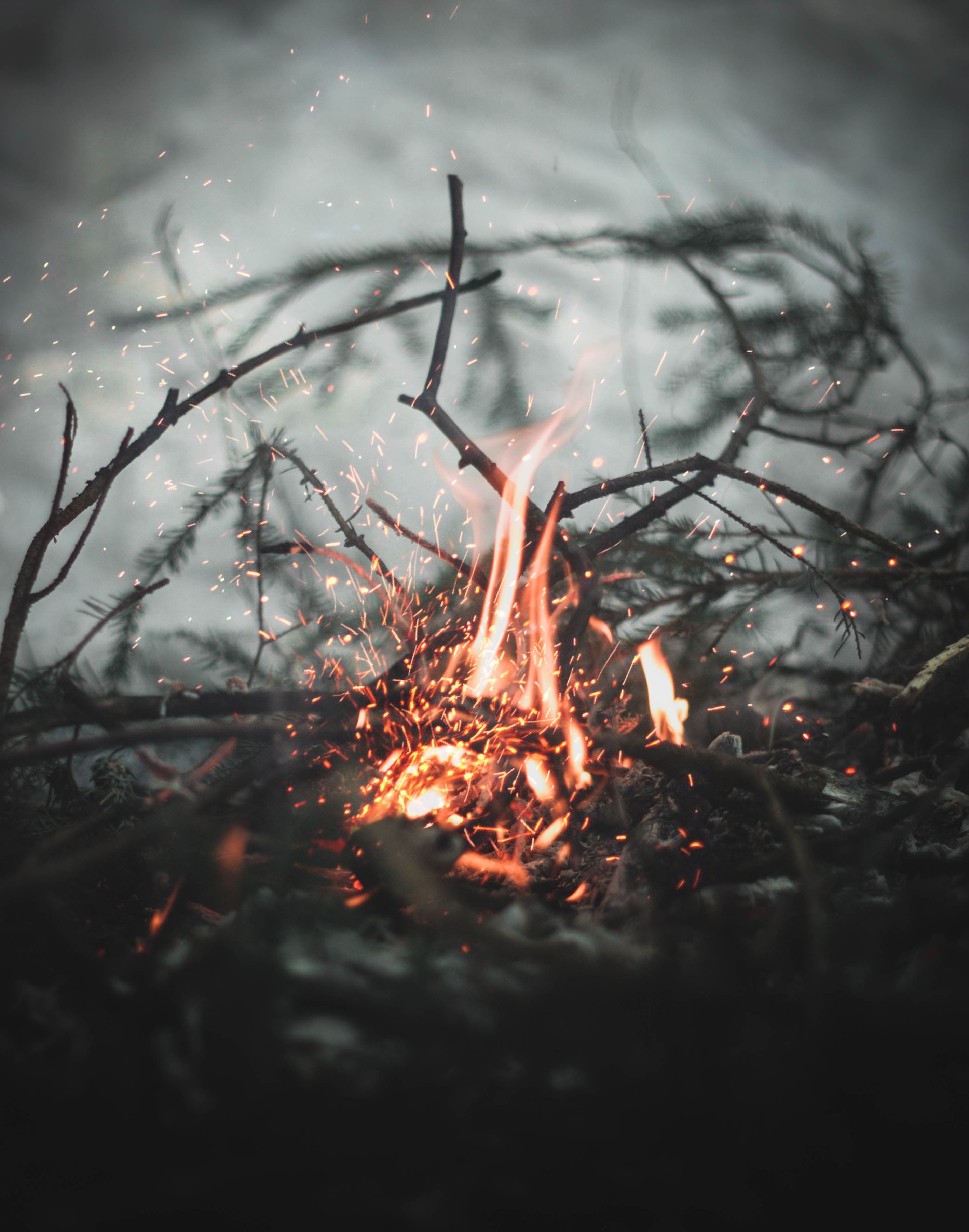 bonfire, fire, sparks, miscellanea, miscellaneous, blur, smooth, branches