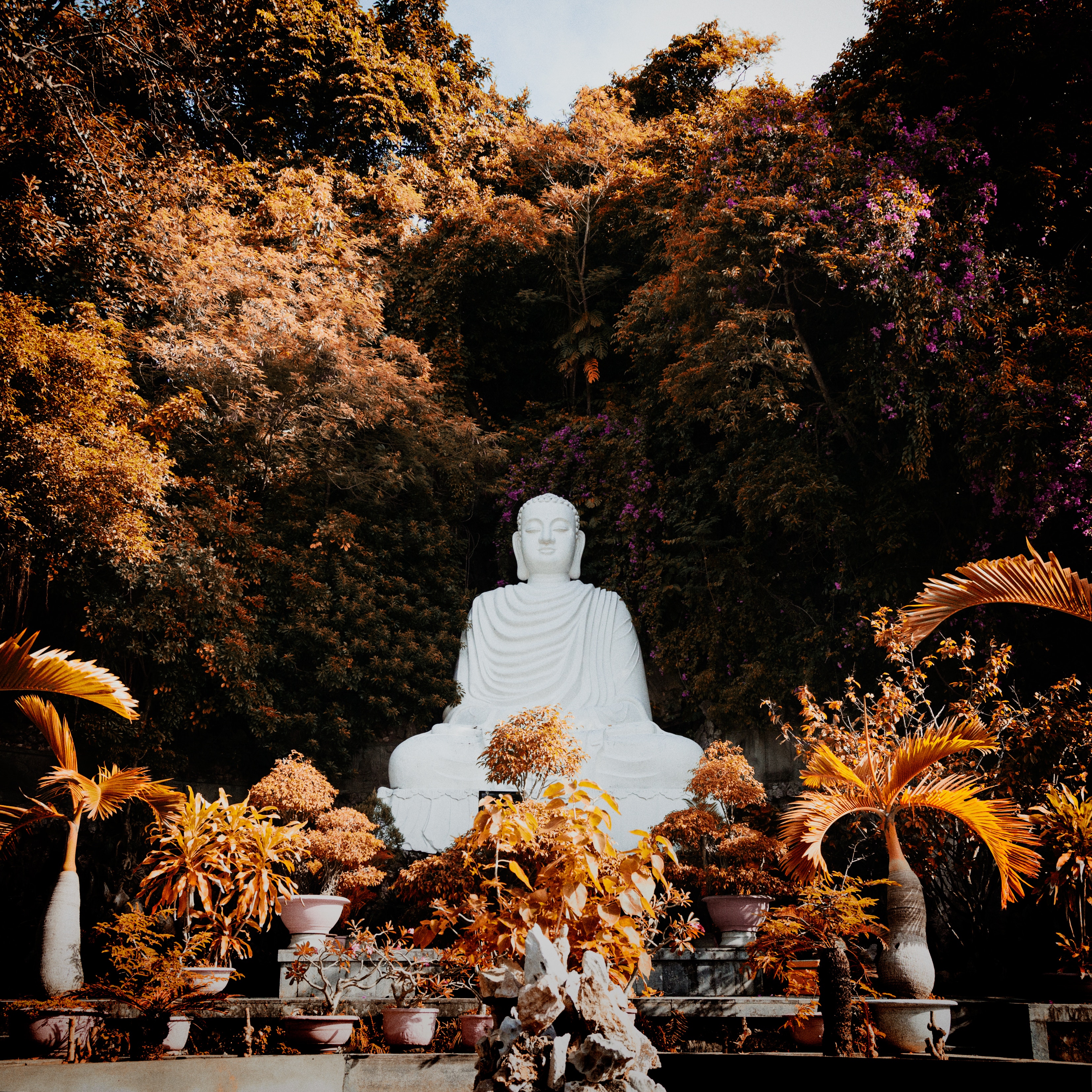 buddha, buddhism, harmony, sculpture, plants, trees, miscellanea, miscellaneous
