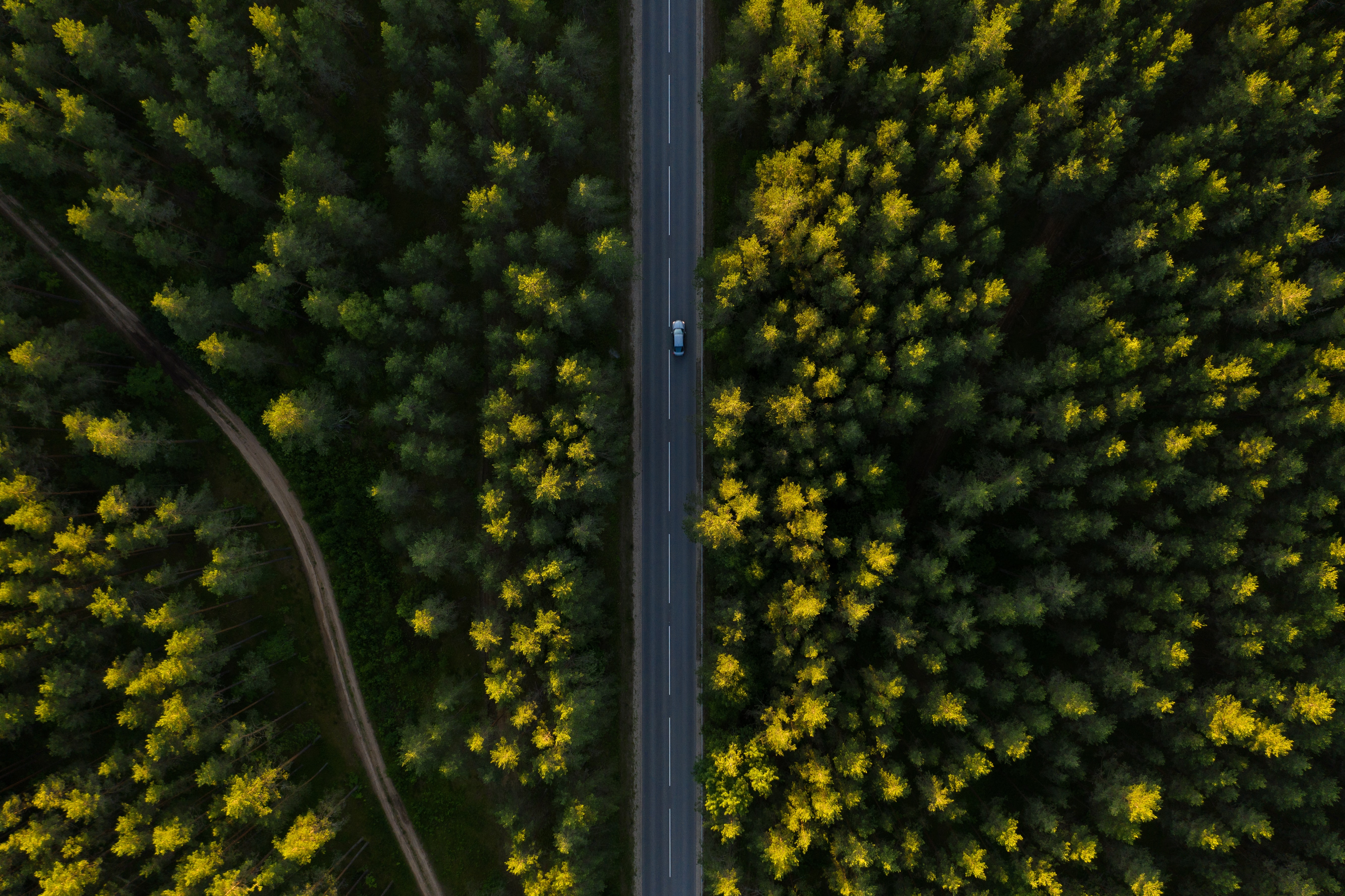 Download mobile wallpaper Road, Trees, View From Above, Car, Nature, Machine for free.