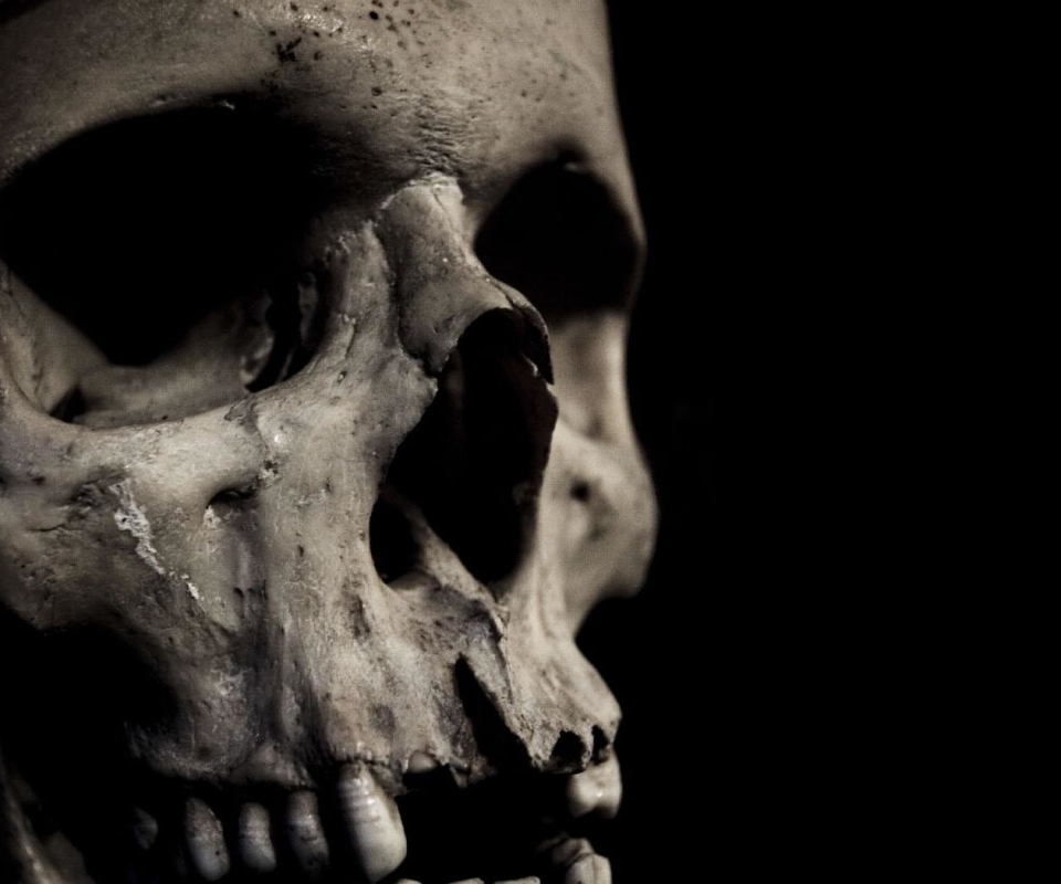Download mobile wallpaper Dark, Skull, Skeleton for free.