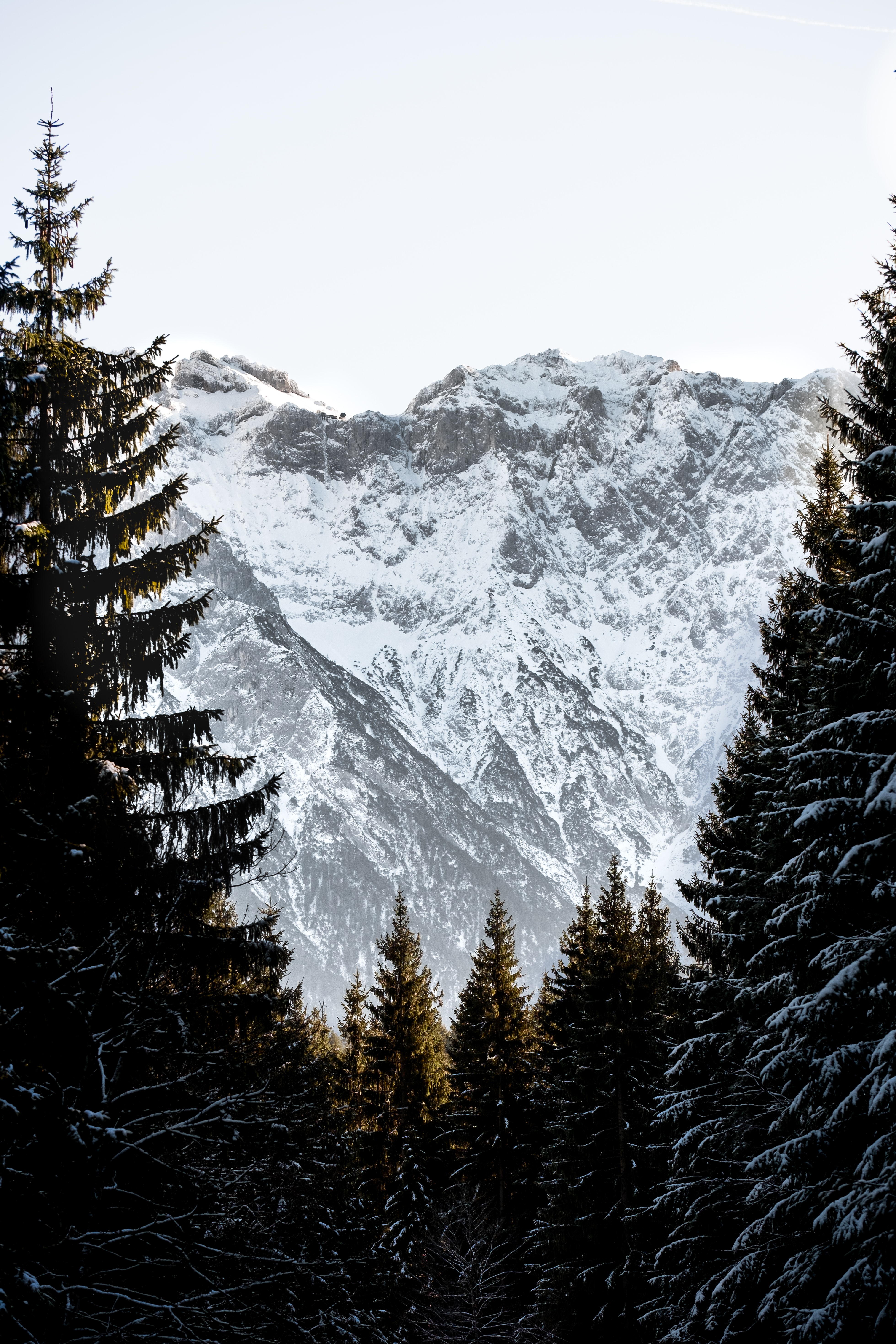 PCデスクトップに自然, スカイ, 山脈, 雪, 岩, スプルース, モミ, 雪に覆われた, 積雪画像を無料でダウンロード