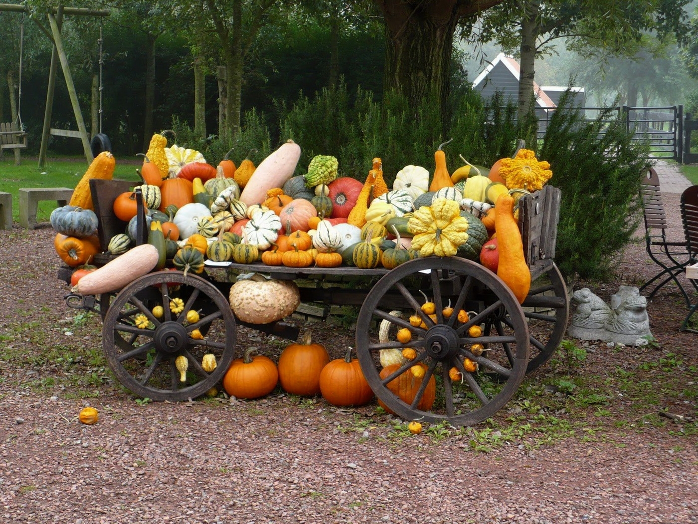 food, still life, fall, pumpkin, wagon