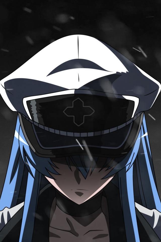 Handy-Wallpaper Animes, Akame Ga Kill: Schwerter Der Assassinen, Esdeath (Akame Ga Kill!) kostenlos herunterladen.