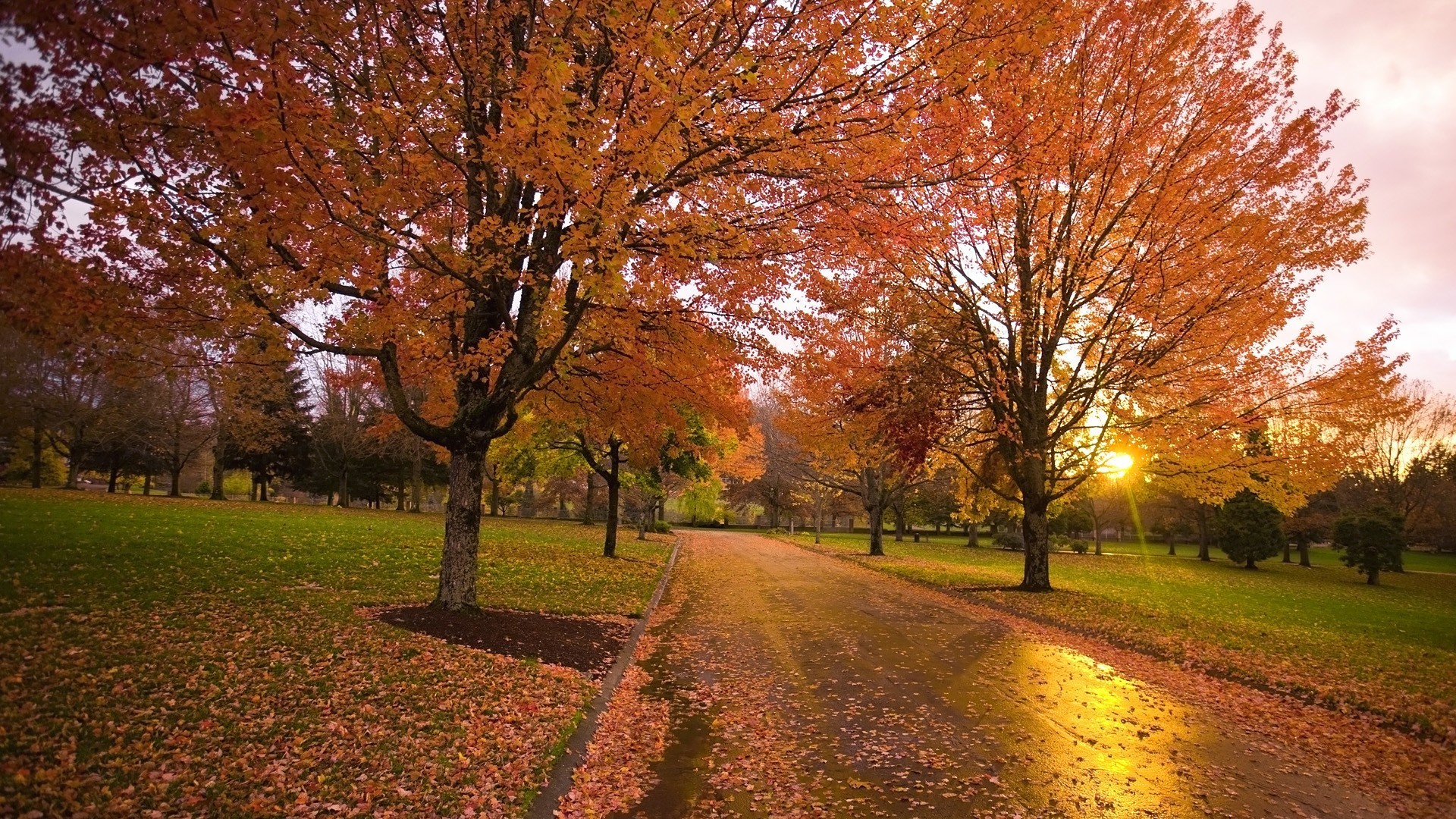 Handy-Wallpaper Herbst, Straße, Park, Baum, Pfad, Fotografie, Sonnenuntergang kostenlos herunterladen.