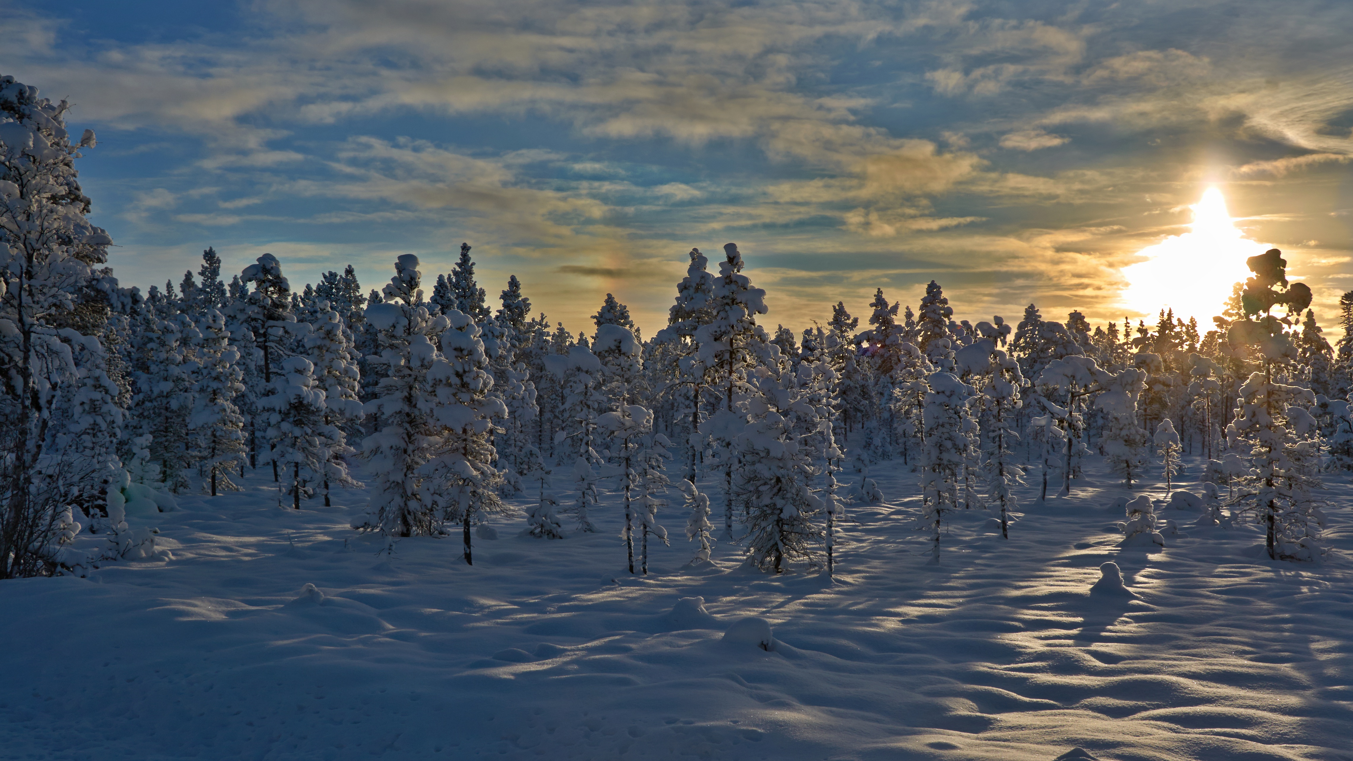 Handy-Wallpaper Winter, Natur, Schnee, Wald, Sonnenaufgang, Erde/natur kostenlos herunterladen.