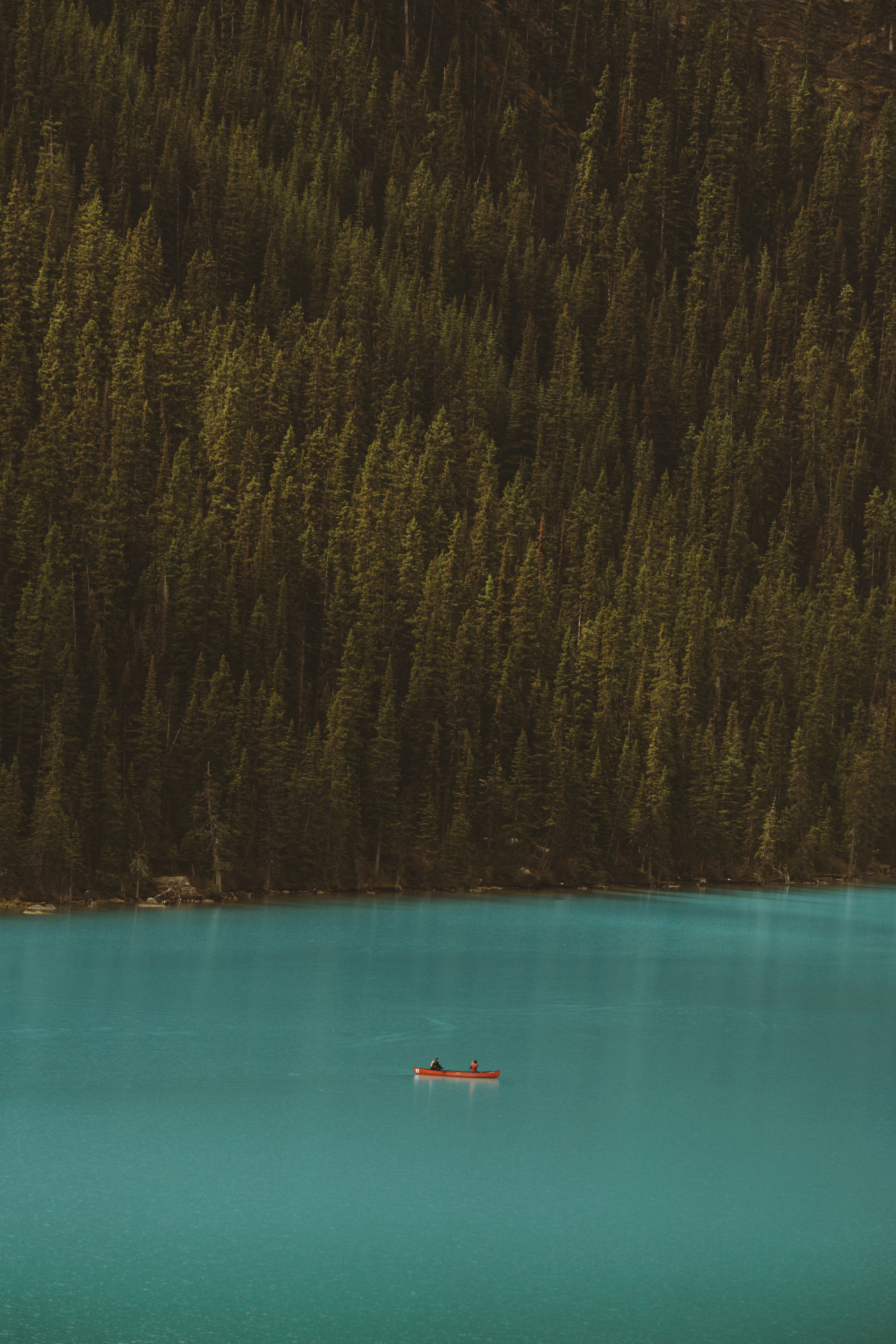 Laden Sie das Ein Boot, Steigung, Natur, Bank, Boot, See, Wald, Ufer-Bild kostenlos auf Ihren PC-Desktop herunter