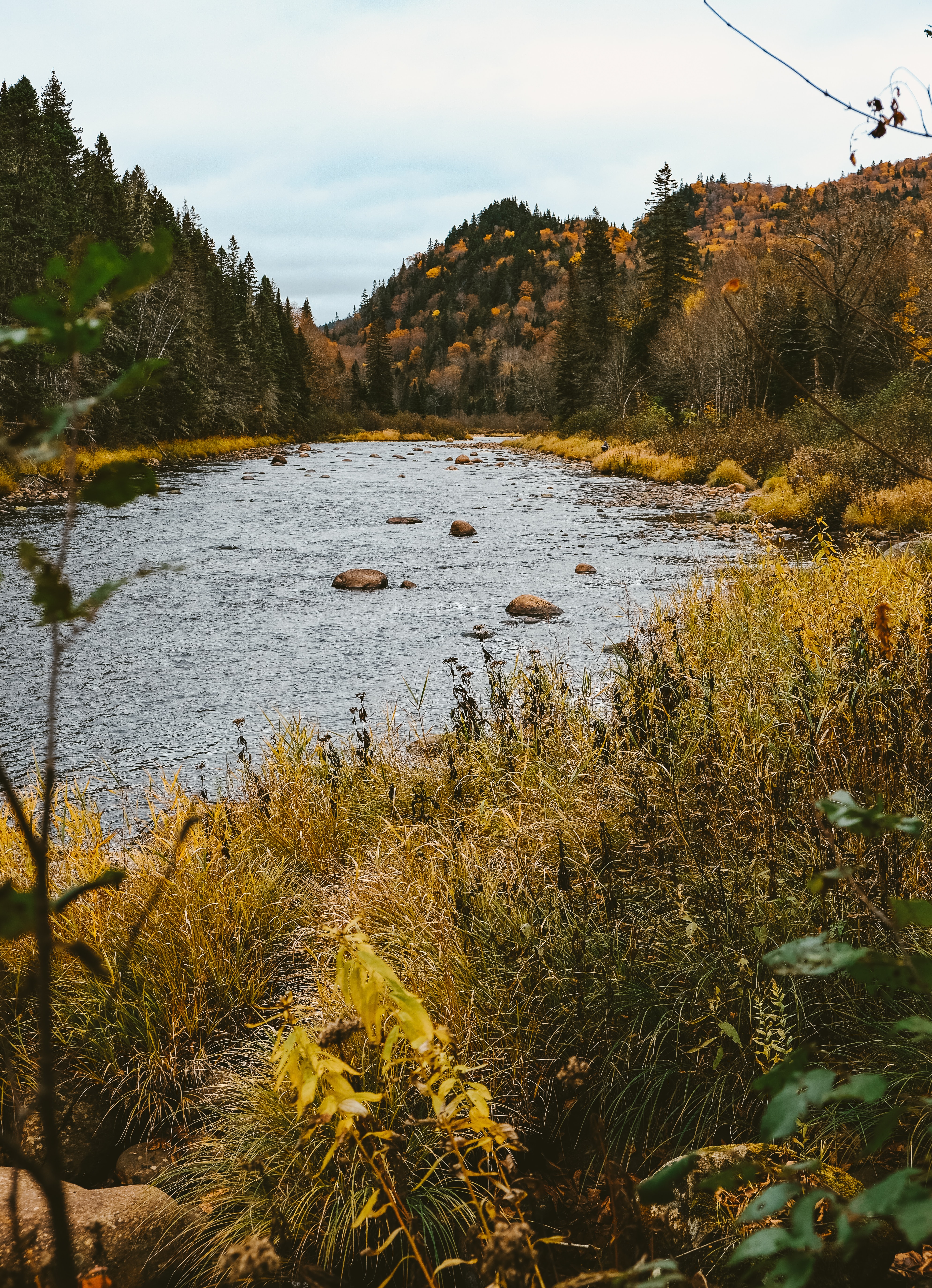 Скачать картинку Холмы, Река, Лес, Природа, Осень в телефон бесплатно.