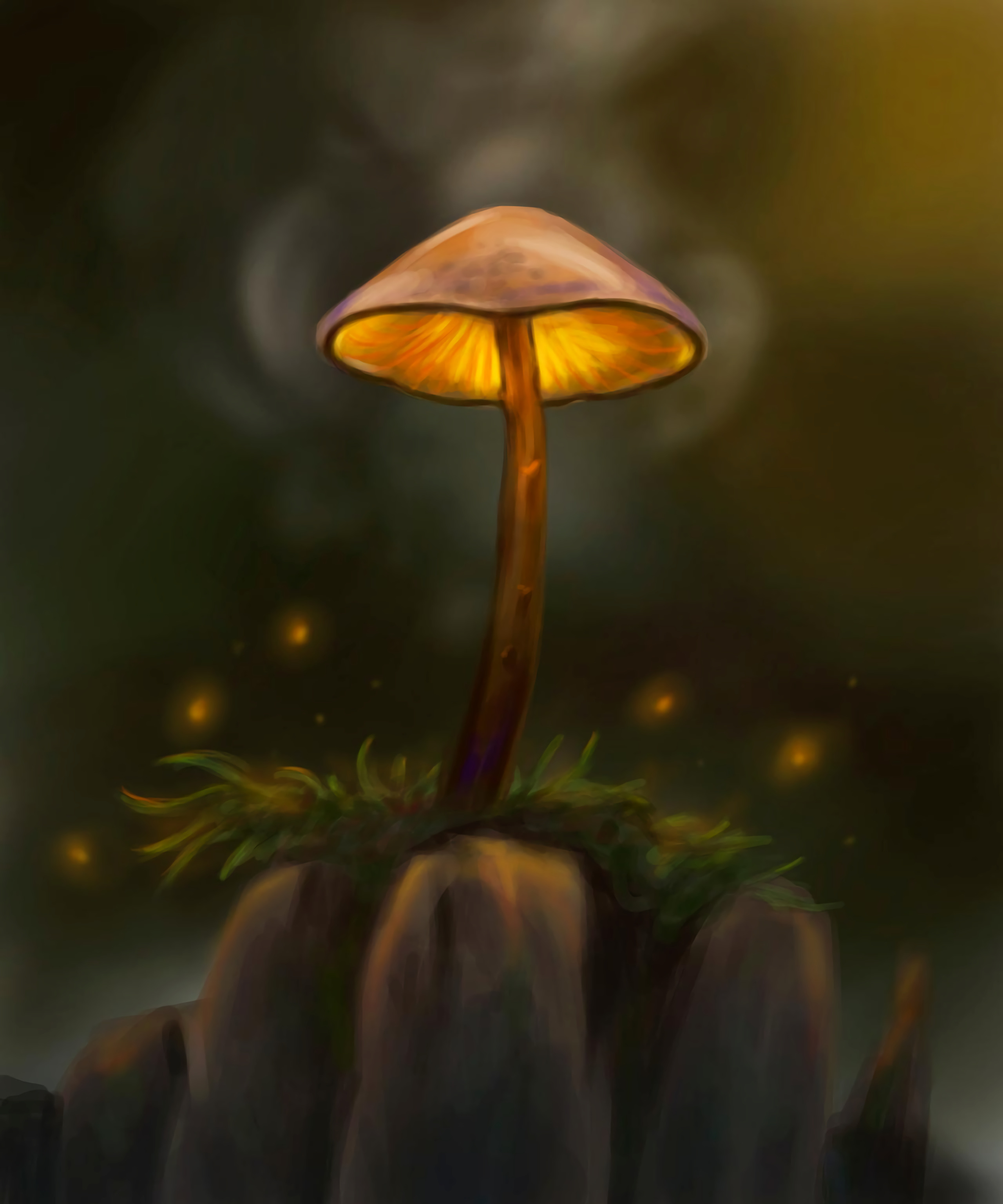 Free Mushroom HD Download HQ