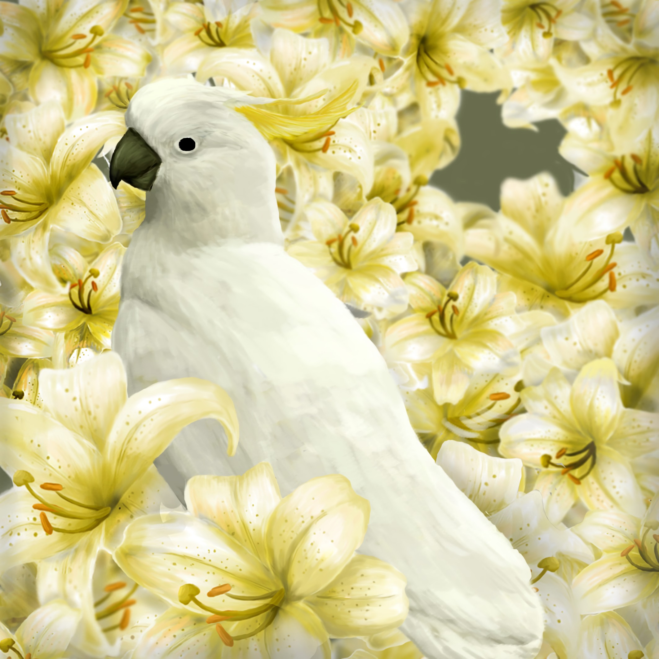 New Lock Screen Wallpapers art, parrots, lilies, bird
