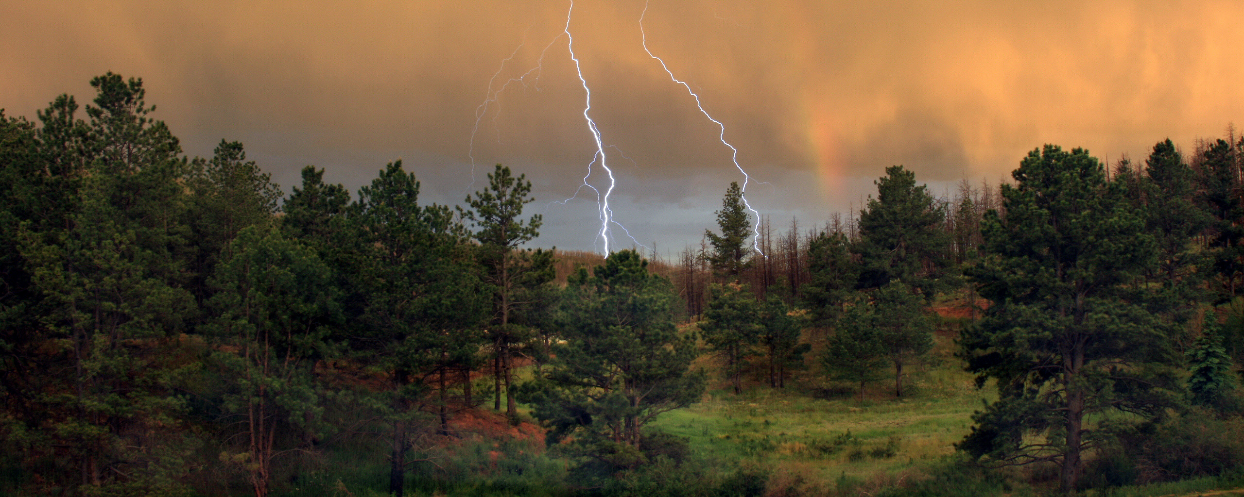 Laden Sie das Blitz, Baum, Fotografie-Bild kostenlos auf Ihren PC-Desktop herunter