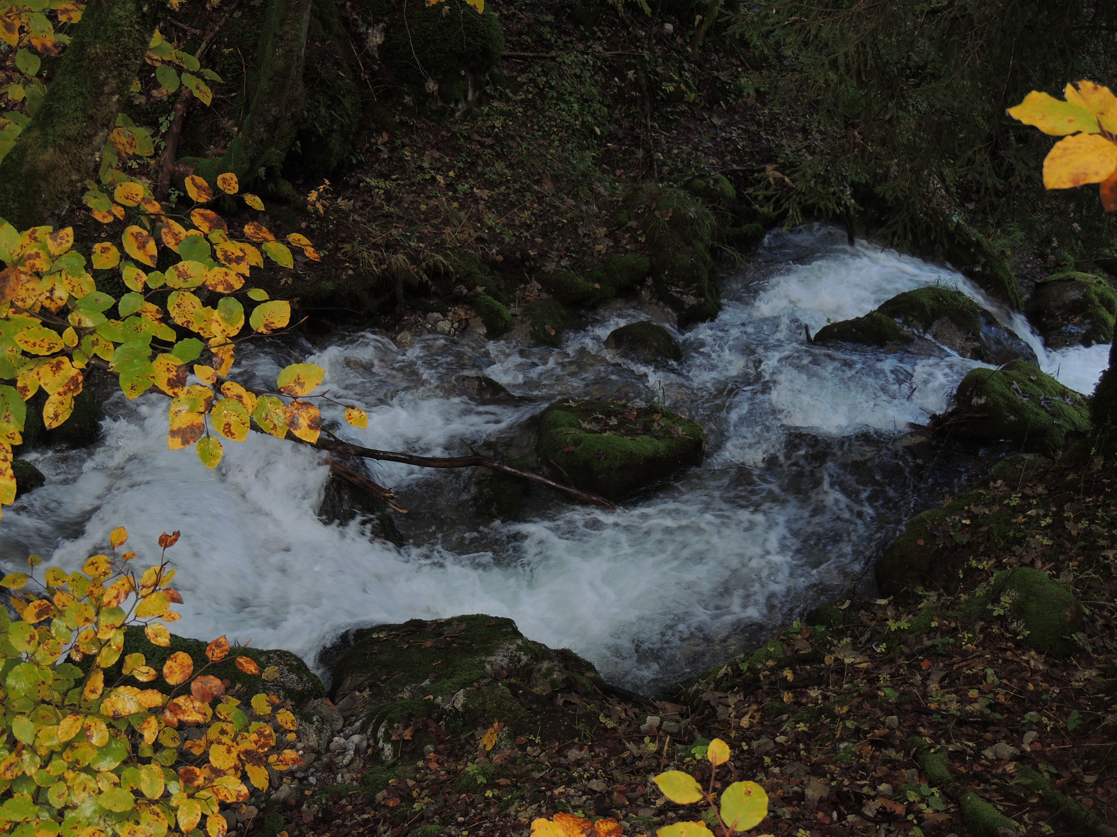 Descarga gratis la imagen Otoño, Tierra/naturaleza en el escritorio de tu PC