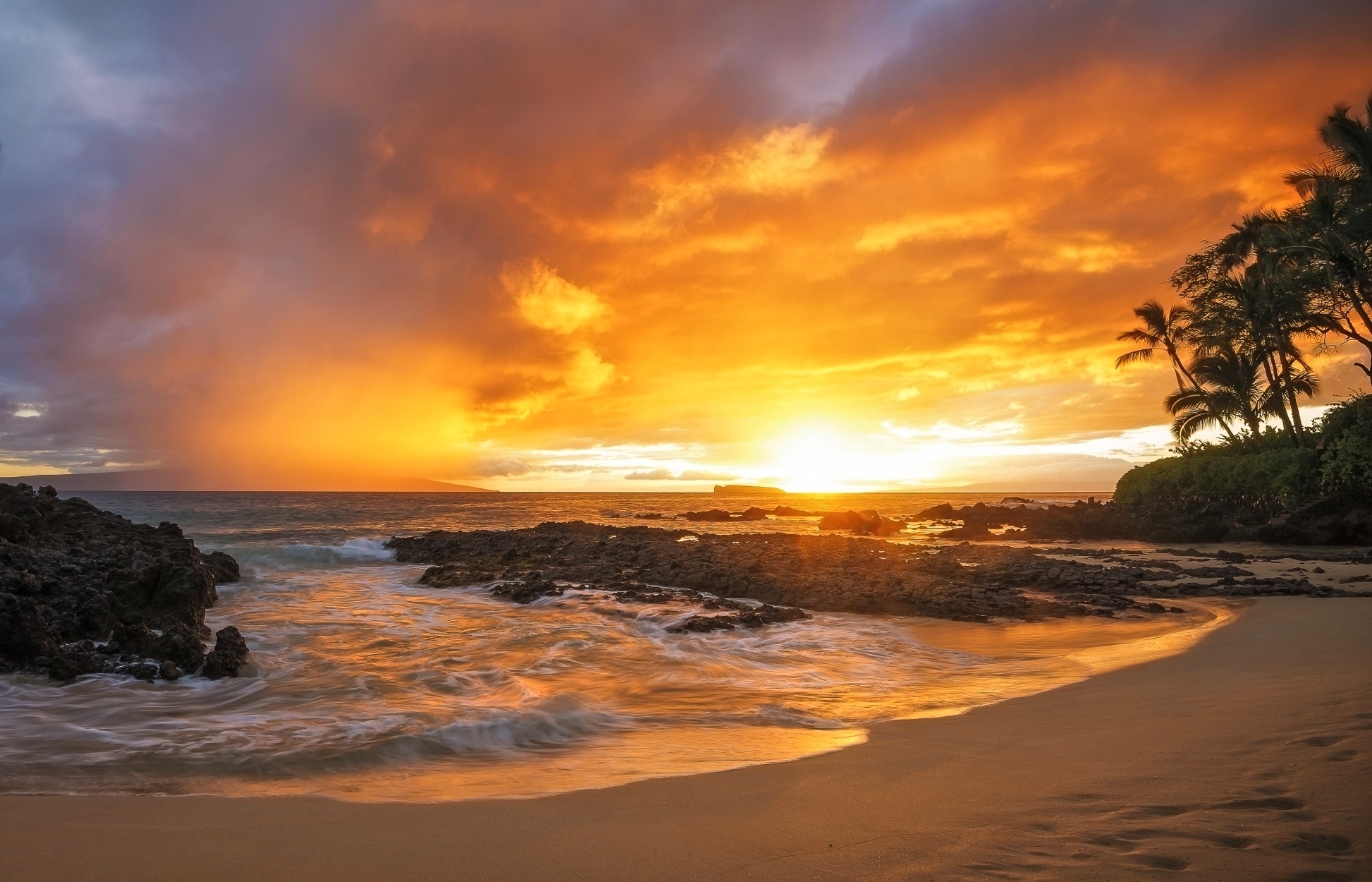 Laden Sie das Strand, Horizont, Ozean, Palme, Tropisch, Meer, Sonnenuntergang, Erde/natur-Bild kostenlos auf Ihren PC-Desktop herunter