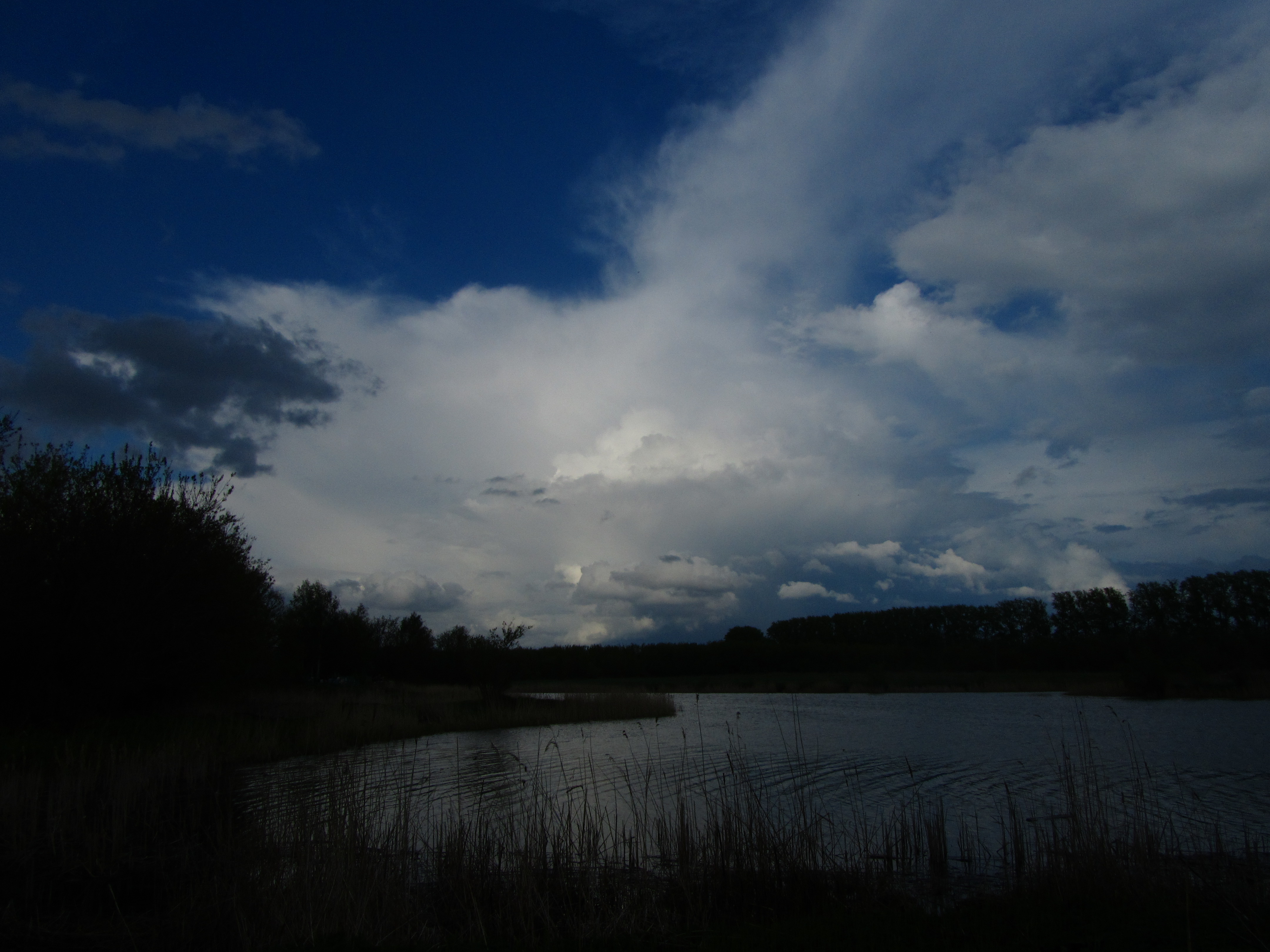 Descarga gratuita de fondo de pantalla para móvil de Nube, Tierra/naturaleza.