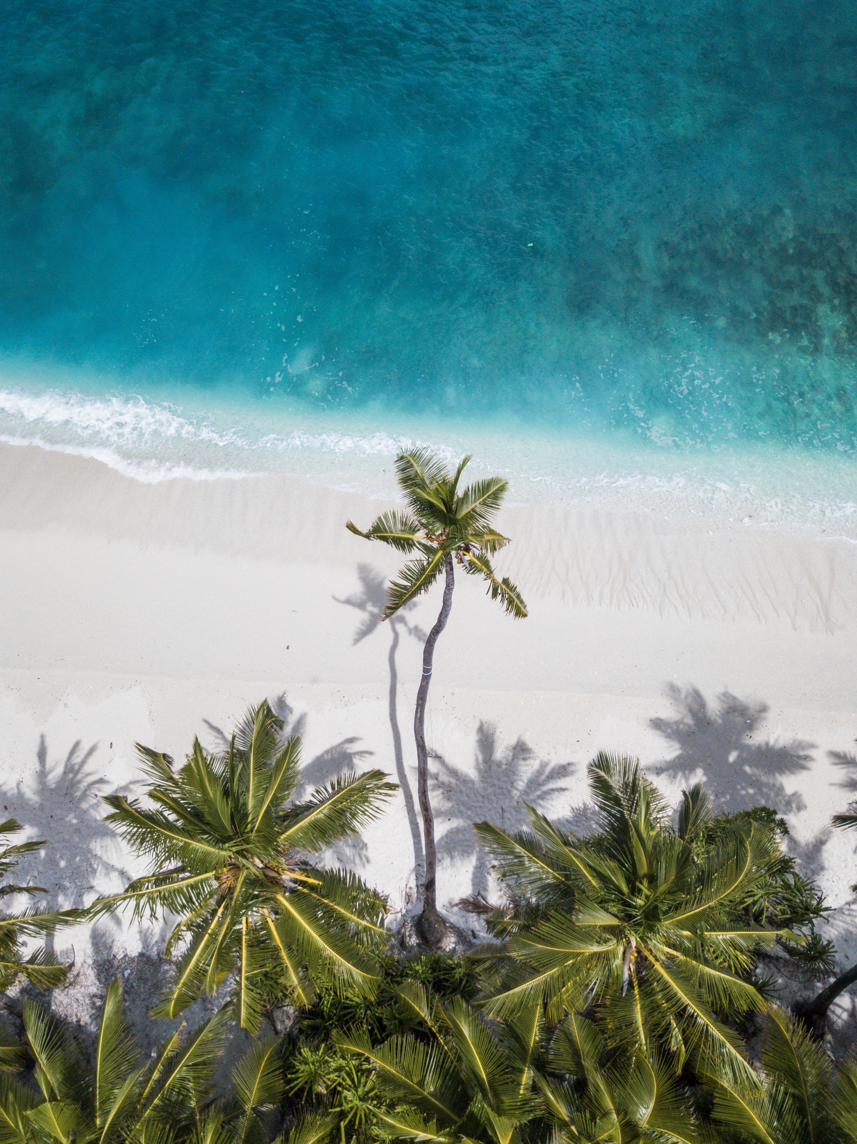 Download mobile wallpaper Shore, Bank, Nature, View From Above, Sand, Ocean, Palms, Maldives for free.